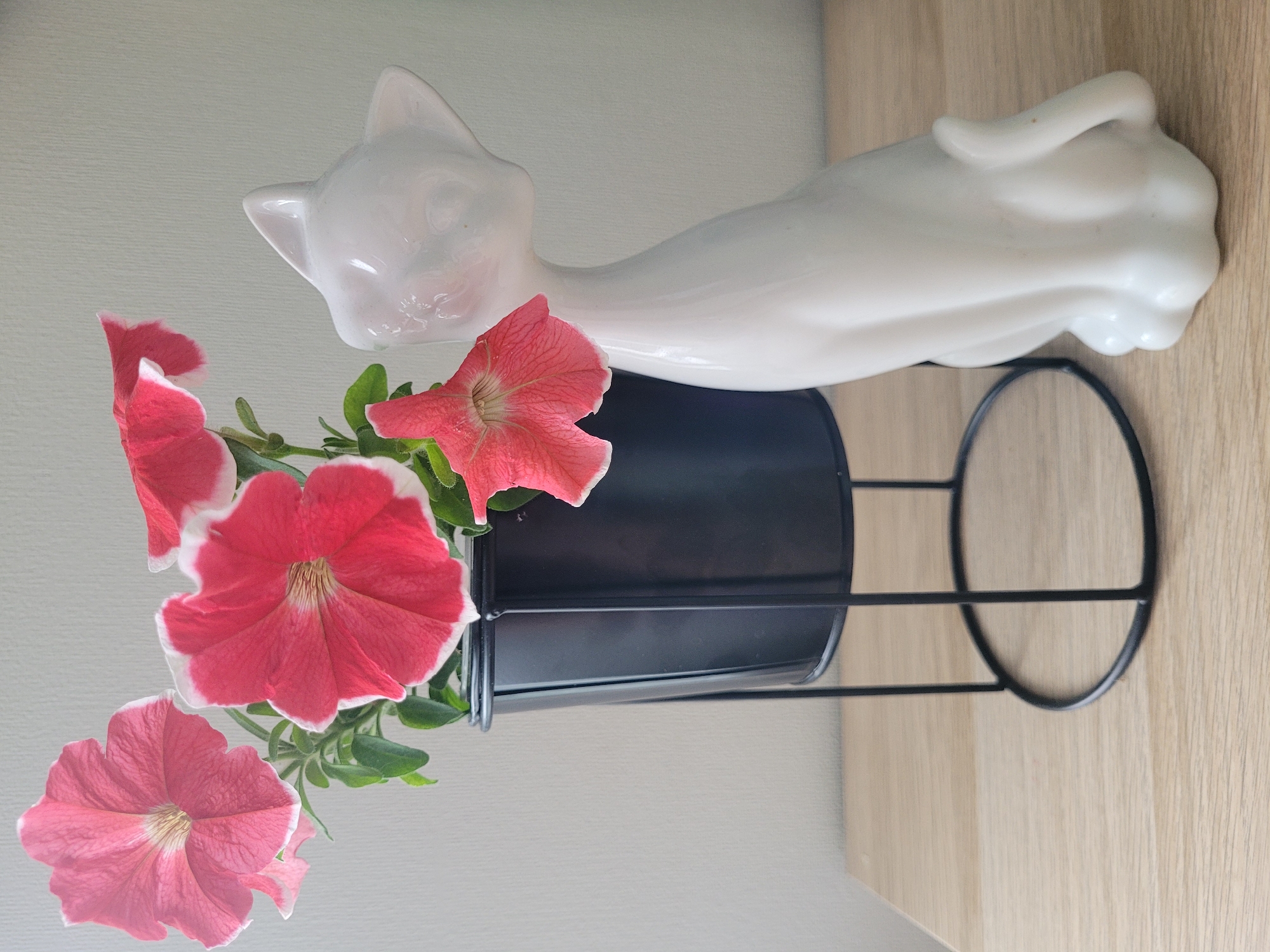 A white ceramic cat figurine sits to the right of a black metal planter holding several pink petunias. The planter is supported by a black metal stand. The objects are placed on a light-colored wooden surface. The background is a plain, light-colored wall. The scene is indoors and no specific location in Jūrmala, Latvia is identifiable.