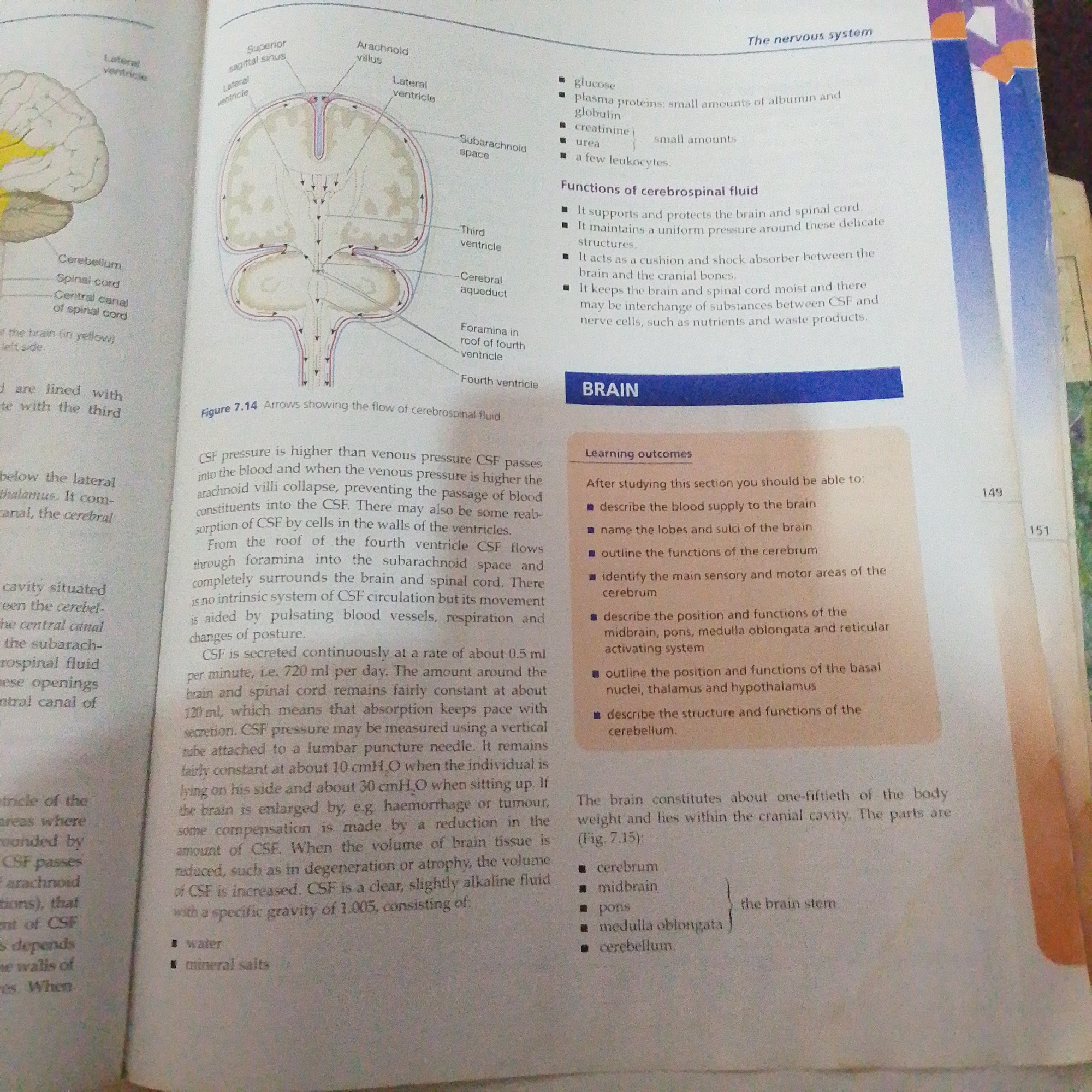 The image is a photograph of an open textbook page. The left side of the page features a diagram of the human brain with labels indicating different parts like the cerebellum, spinal cord, central canal, lateral ventricle, arachnoid villus, superior sagittal sinus, third ventricle, cerebral aqueduct, foramen in the roof of the fourth ventricle, and fourth ventricle. Text on the left also discusses cerebrospinal fluid and its properties. The right side of the page contains sections titled "The nervous system" and "BRAIN," with bullet points listing components and functions of cerebrospinal fluid, as well as "Learning outcomes" for the section. A diagram showing the flow of cerebrospinal fluid is present, accompanied by explanatory text about CSF pressure and secretion. The page also includes numbers "149" and "151" on the right margin. There is no information or imagery related to Jalingo, Nigeria in this photograph.
