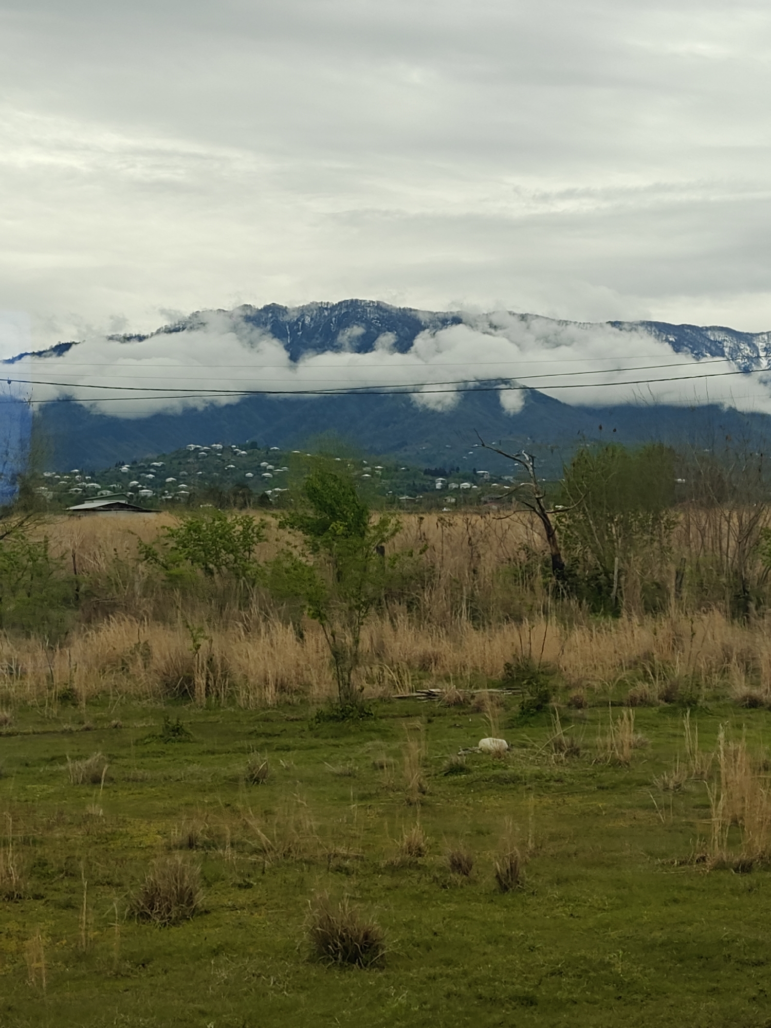 This image captures a serene, expansive landscape under an overcast sky. In the far background, a majestic mountain range dominates the horizon, its peaks partially covered in snow and frequently enveloped by thick, white clouds that also shroud some of the lower slopes. Power lines stretch across the mid-upper portion of the frame.
Below the mountains, a hillside is dotted with numerous small, light-colored houses, forming a village or rural settlement. The architecture suggests a temperate, possibly European or Central Asian, mountainous region.
The midground transitions into a mix of vegetation. Tall, dry, straw-colored grasses stand alongside greener, leafier trees and bushes. Some trees appear older, with bare branches, suggesting either a specific species or the season.
The foreground consists of a relatively flat field covered in a patchwork of vibrant green grass and scattered clumps of dry, brown vegetation. A solitary, irregularly shaped white object, possibly a rock, rests in the lower-middle section of this field.
The sky is uniformly grey and white with dense cloud cover, indicating an overcast day. No specific human activity is visible, and the scene appears peaceful and still. The overall light suggests daytime, though the lack of direct sunlight points to an overcast condition. There is no visible text in the image.