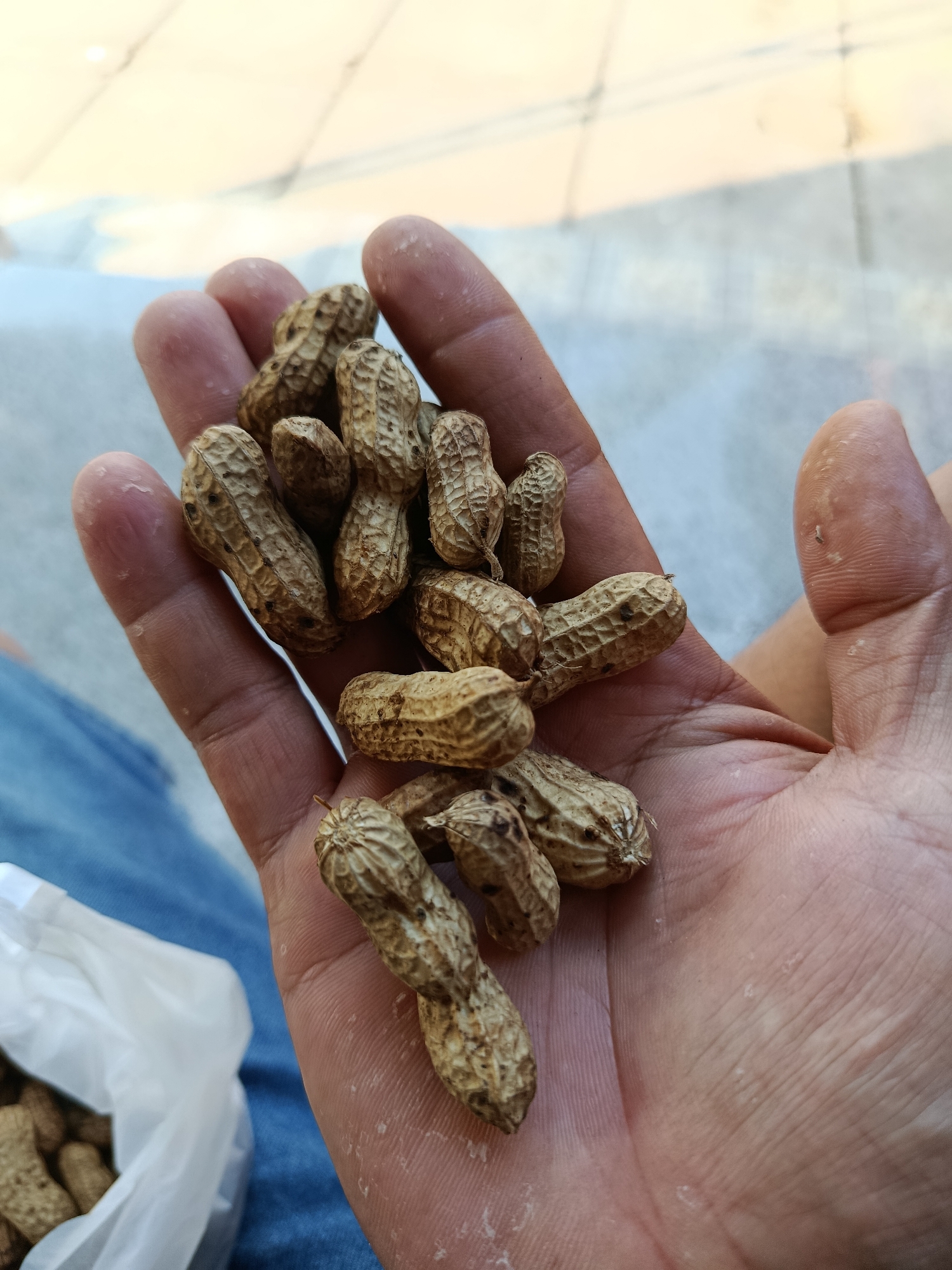 A person's open palm, with a pile of peanuts in it, is shown against a blurred background of what appears to be a tiled outdoor surface. The peanuts are in their shells and have a rough, textured exterior. A white plastic bag filled with more peanuts is visible in the lower left corner of the frame. The person is wearing blue denim clothing. The lighting suggests it is daytime.