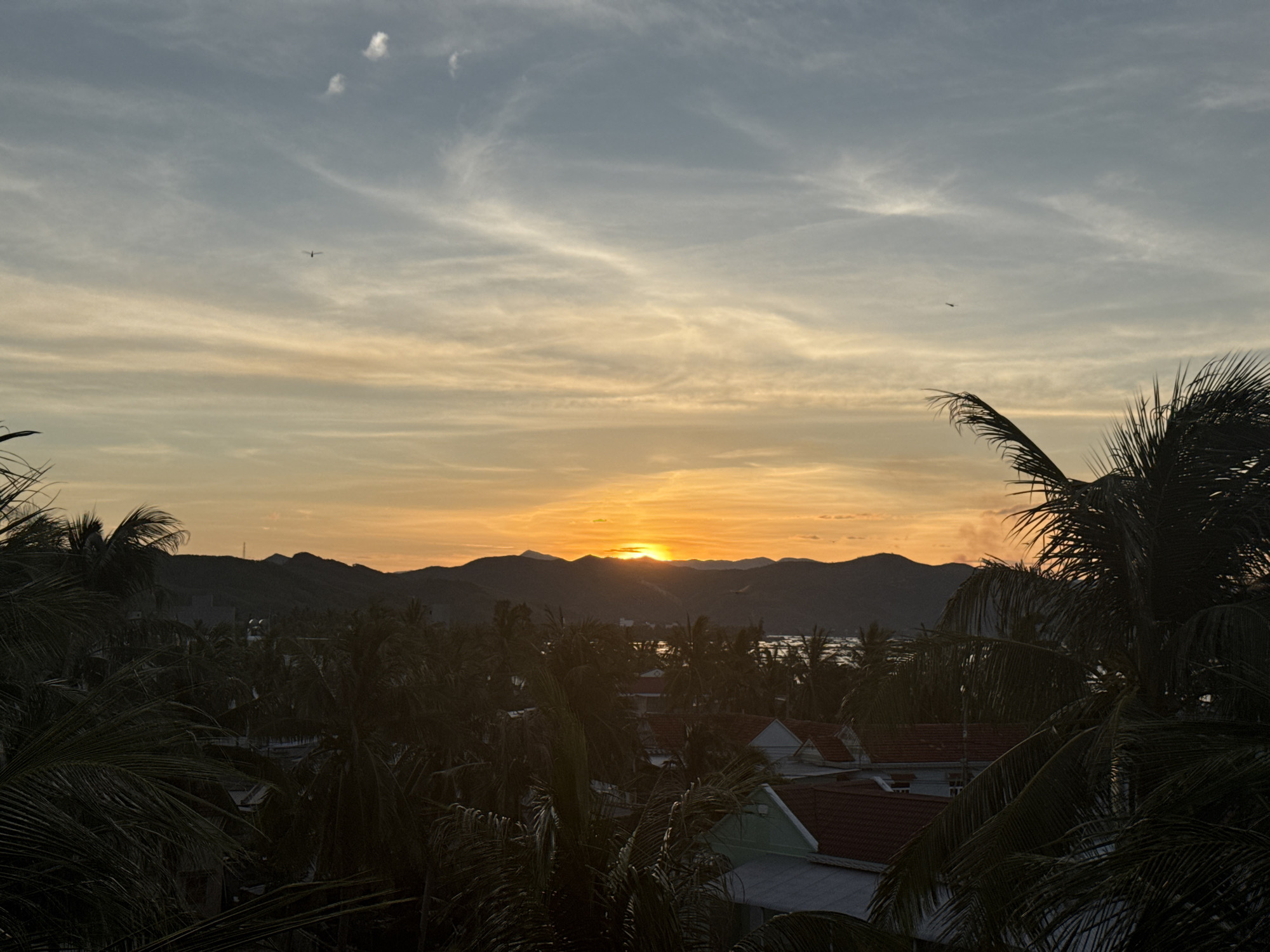 This is a photograph taken in Song Cau, Vietnam, at sunset. The sun is setting behind a range of dark, silhouetted mountains. The sky is filled with wispy clouds that are illuminated by the orange and yellow hues of the sunset. In the foreground, there are several palm trees with their fronds obscuring parts of the scene below. Amidst the palm trees, the rooftops of houses are visible, some with red tiles and others with white or light green walls. In the distance, a body of water can be seen, reflecting the sunset light. Two small birds are visible in the sky, one on the left side and another on the right.