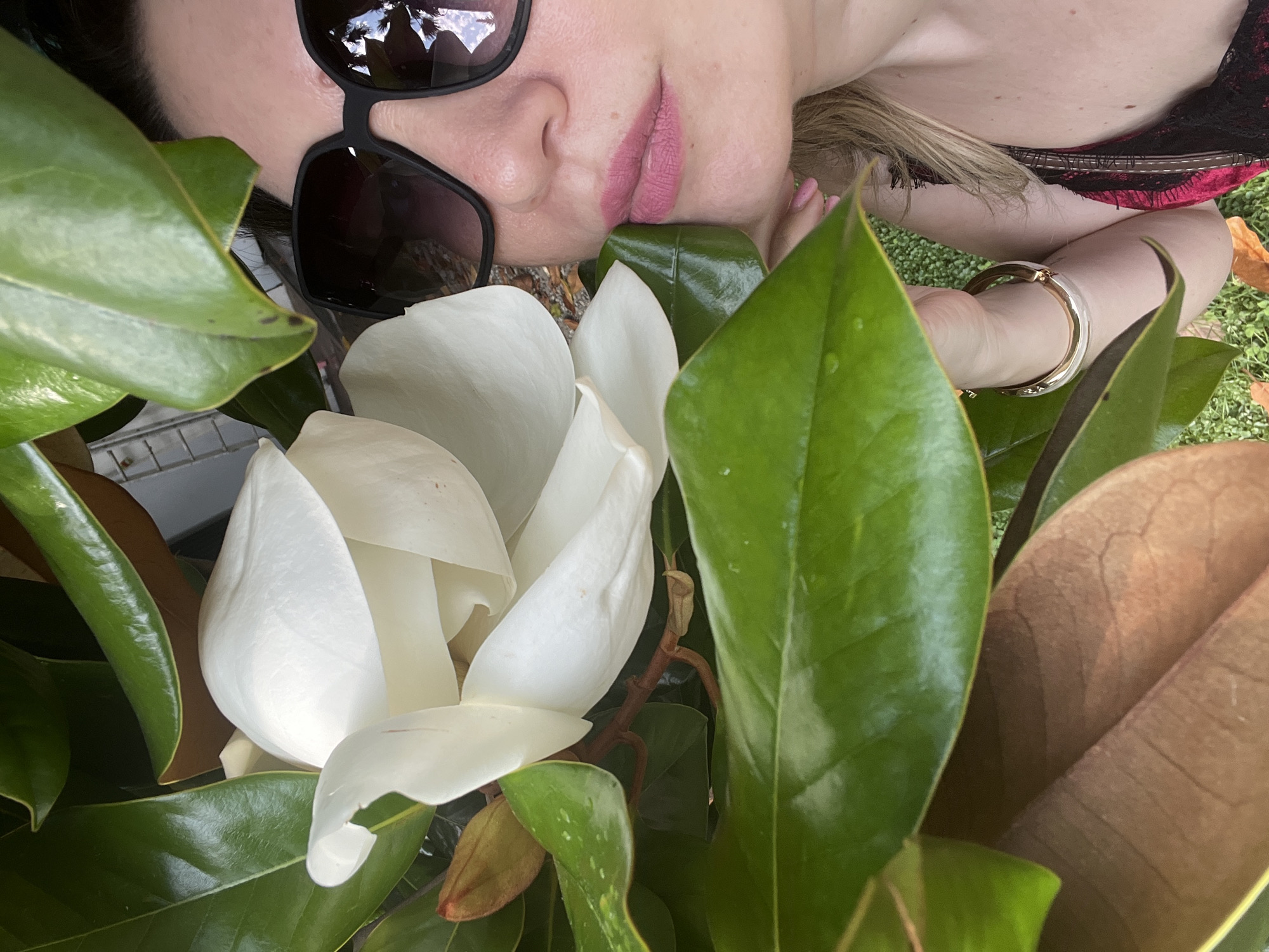 A close-up, top-down, outdoor shot features a woman wearing large, dark sunglasses and pink lipstick, partially obscured by large green magnolia leaves and a white magnolia flower. The woman's face is angled upwards, with her eyes hidden behind the sunglasses. Her blonde hair is visible to the right. She is wearing a dark top with a red patterned design. A gold bracelet adorns her wrist. The background shows green grass and some dry leaves, suggesting an outdoor setting with mixed greenery. The lighting indicates it is daytime. The overall impression is a stylized portrait focused on the interaction between the woman and the magnolia bloom.