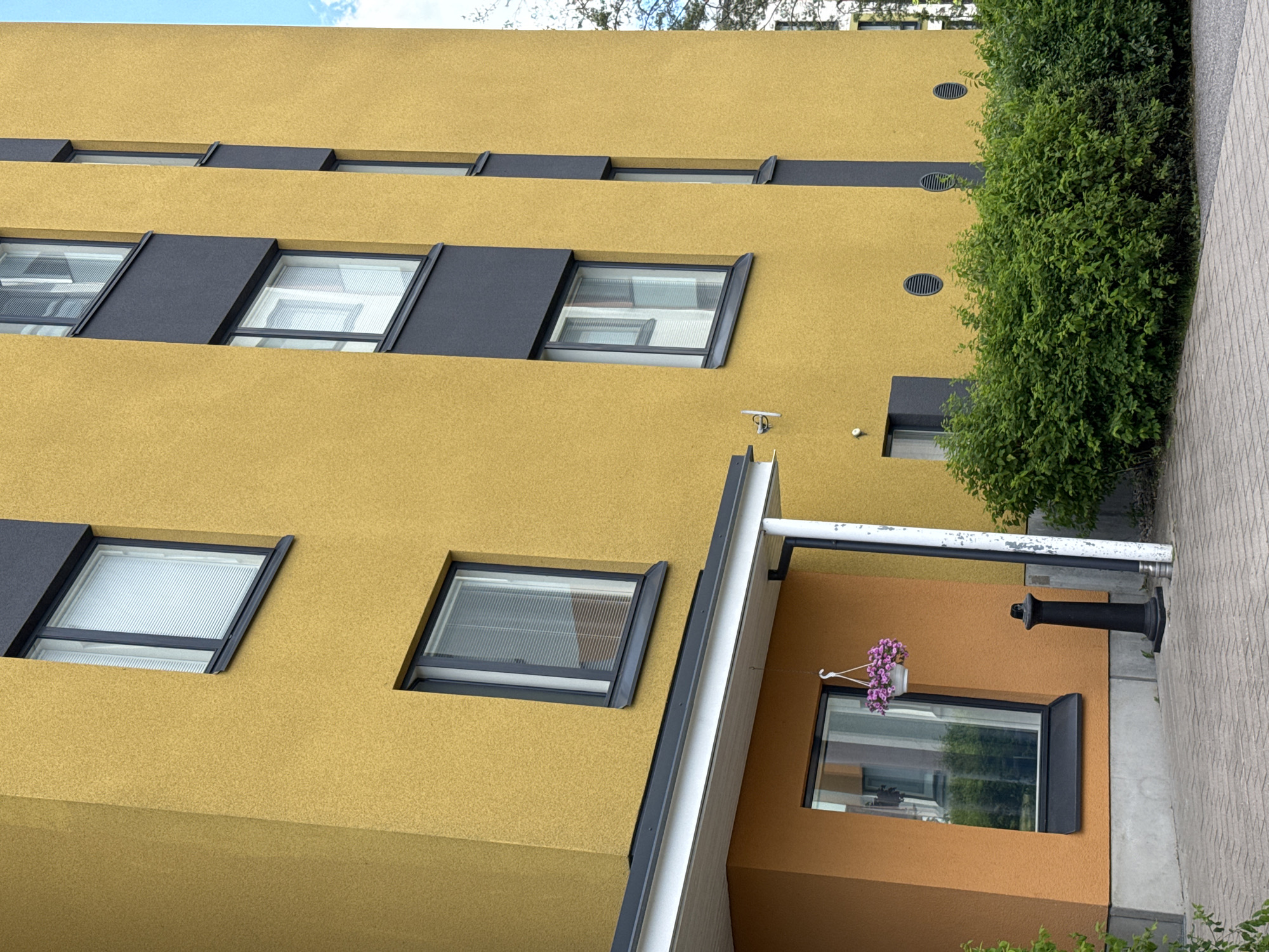 The image shows a close-up, eye-level view of a modern building with a yellow and dark gray exterior. The building has several windows, some with horizontal blinds visible. A section of the building is painted orange, and there is an overhang with a downspout. A hanging basket with pink flowers is suspended from the overhang. In front of the building is a dense green hedge. To the right of the hedge, a small portion of trees and sky is visible. The ground is paved with light-colored brick-like pavers. A black bollard is positioned near the orange section of the building. Two circular vents are visible on the yellow facade. The scene appears to be an outdoor residential or commercial area.