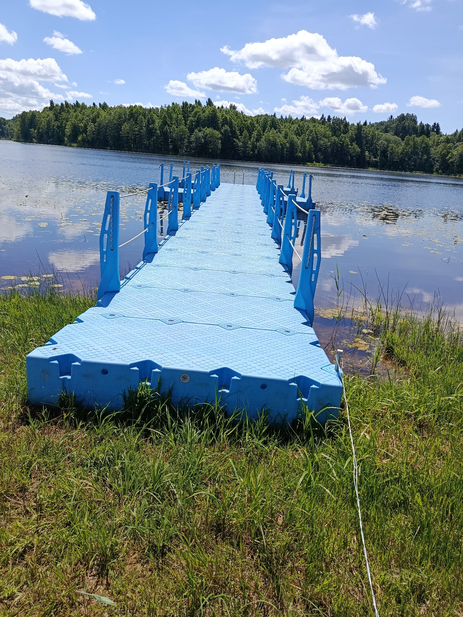 A bright blue modular floating dock extends out into a calm lake. The dock is made of interlocking plastic sections and has a rope railing along both sides supported by blue posts. The lake's surface reflects the blue sky and scattered white clouds, with some lily pads visible near the shore. The far bank of the lake is lined with a dense forest of green trees. The dock is grounded on a grassy bank in the foreground, with lush green grass and some dry patches of earth. The overall scene depicts a tranquil outdoor setting on a sunny day. The location is identified as Mяжанскі сельскі Савет, Belarus. There are no people or animals visible in the image.