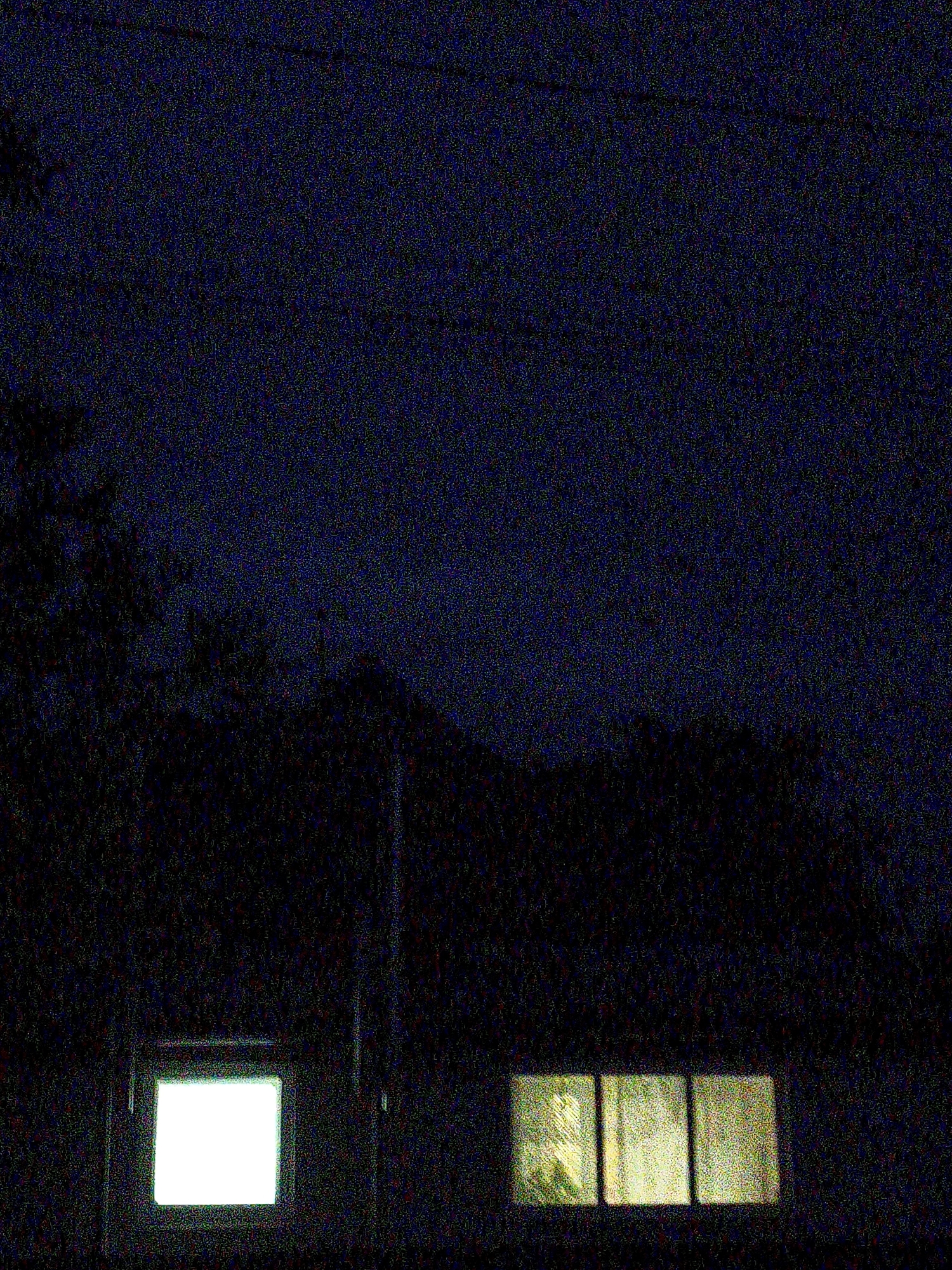 The image captures a nighttime scene in Ustyvytsia, Ukraine, characterized by significant digital noise and low light. The upper two-thirds of the frame present a dark blue, heavily pixelated sky, with faint overhead lines barely discernible. The lower portion reveals the dark silhouettes of trees or dense foliage along the left and across the bottom, obscuring any distant horizon. In the lower center, a building is partially visible. On the left side of the building, a square window emits a strong, uniform white-green light from an interior space. To its right, a set of three rectangular windows display a softer, yellowish-green illumination, with faint, indistinct patterns potentially indicating curtains or interior objects. A dark vertical line, possibly a utility pole or structural element, is faintly visible between the two window groups. No people, specific actions, or interactions are visible.