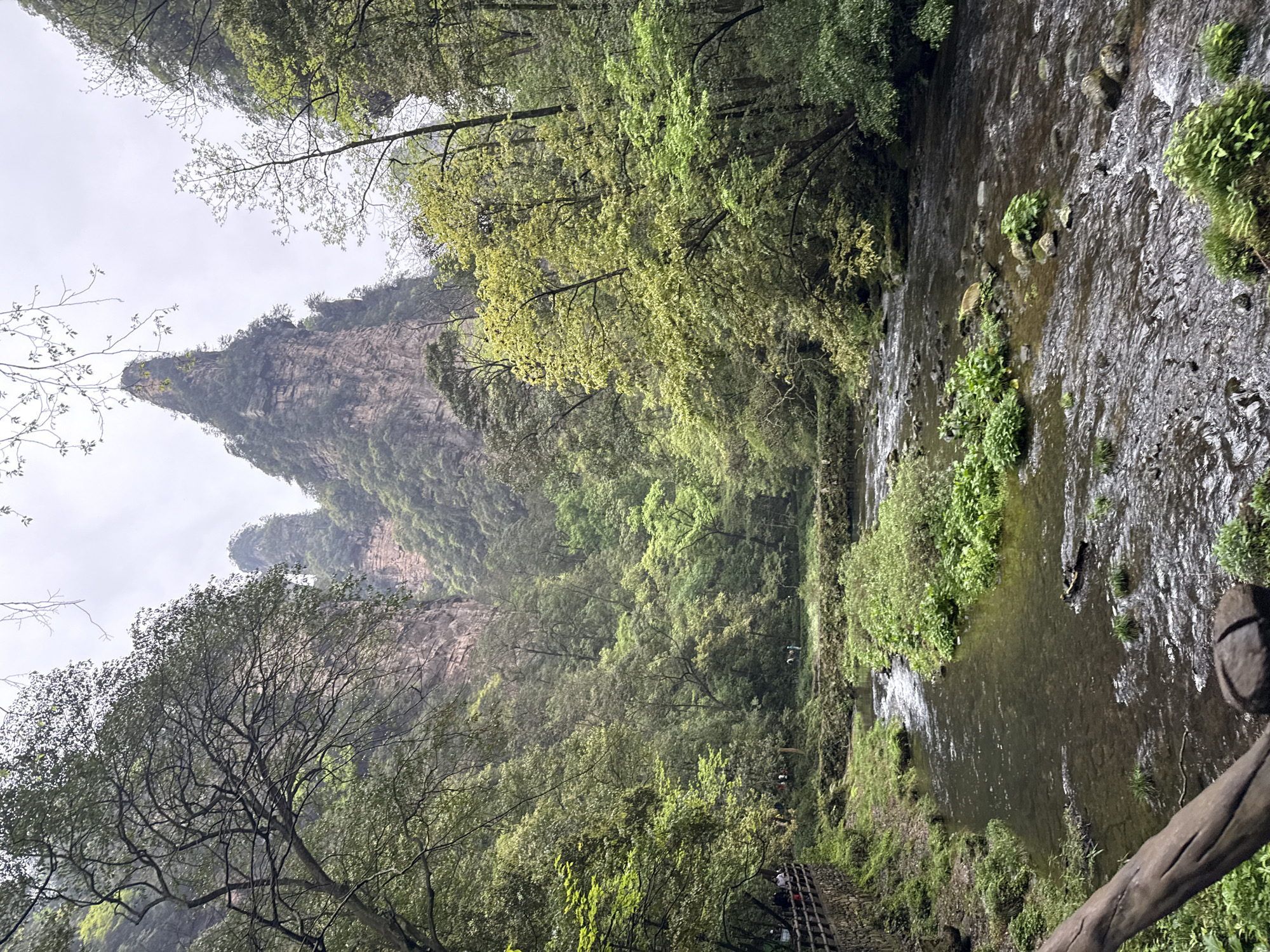 The image captures a scenic view in Luoguta, China. A river flows through a lush, green valley, with vegetation covering the banks. In the background, a towering, rocky peak rises into the sky, partially obscured by mist or fog. Trees and foliage dominate the landscape. A wooden structure, possibly a bridge or pathway, is visible along the riverbank.