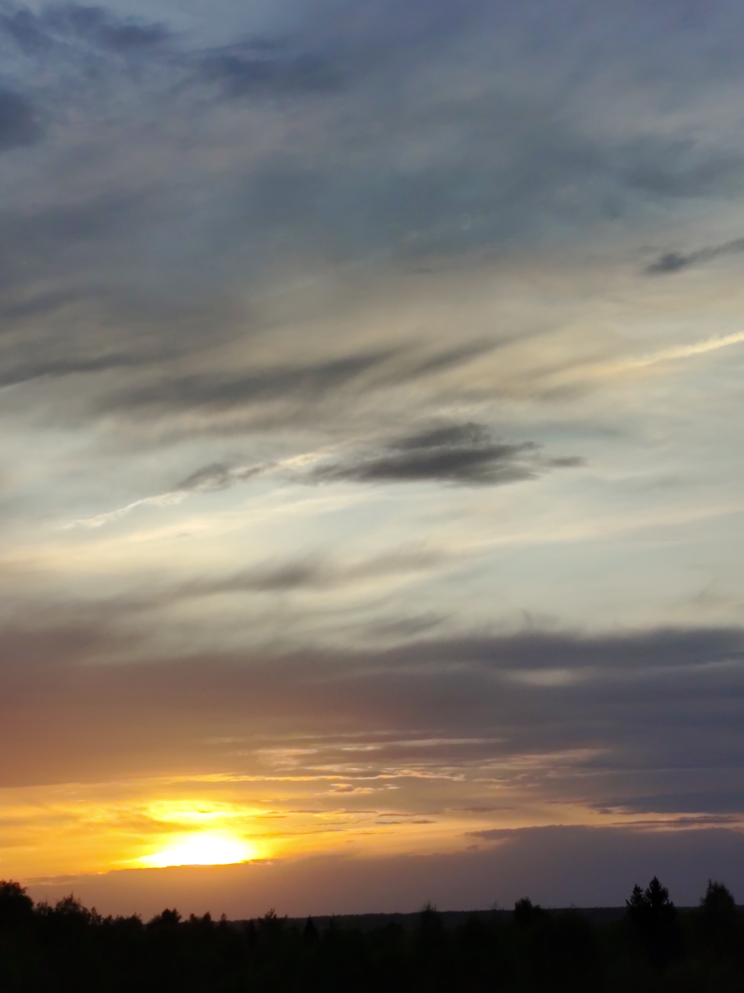 The image shows a sunset over a dark silhouette of trees. The sky is filled with various types of clouds, ranging from dark grey to light yellow. The sun is setting on the horizon, creating a bright orange glow. The location is suggested to be in or near Марковский, Russia, based on the available information.