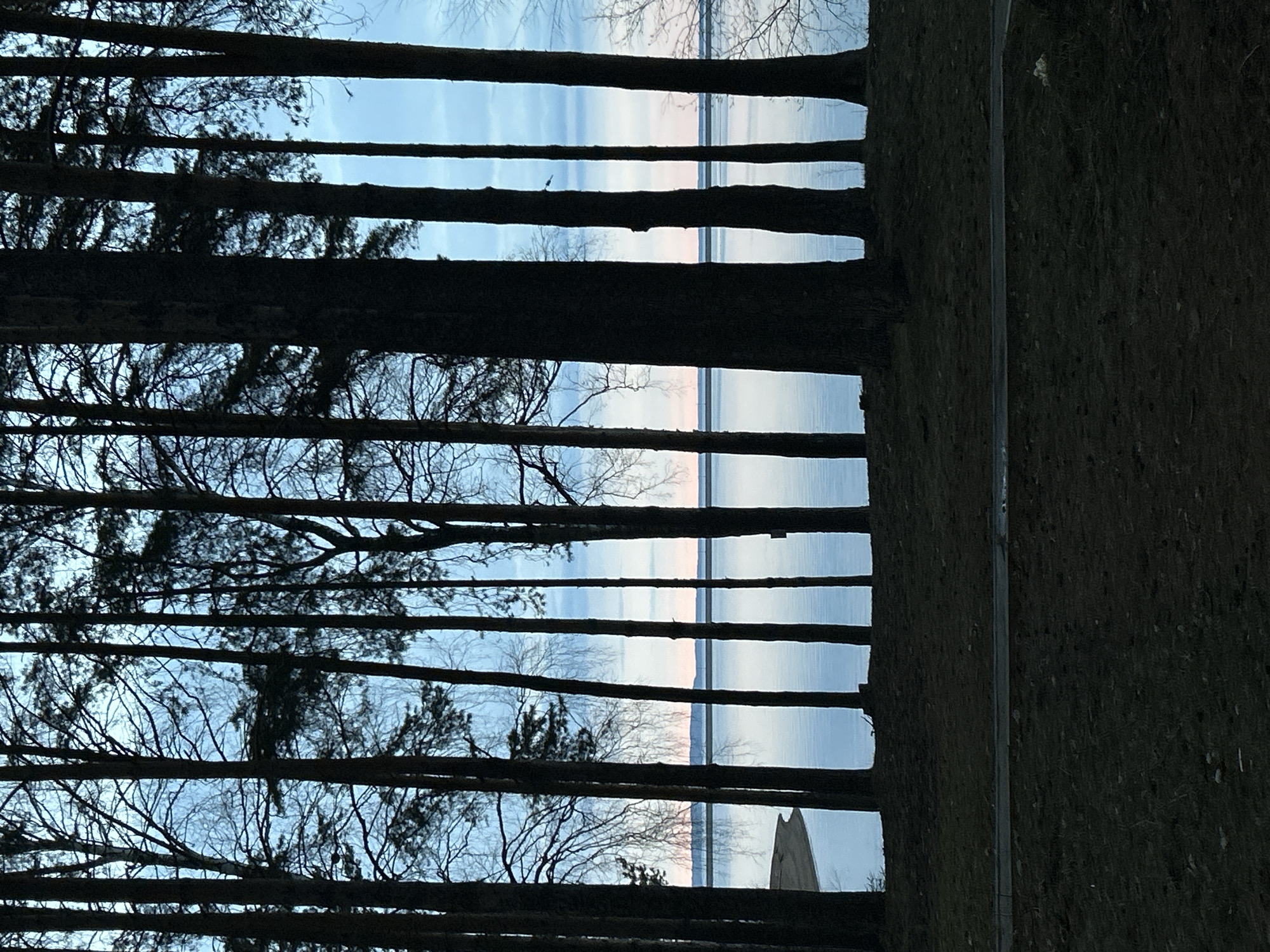 The image shows a view through a barrier of thin, parallel, dark tree trunks, likely a dense row of trees. The background visible between the trunks appears to be water, reflecting a light blue sky with subtle pink hues, possibly indicating sunrise or sunset. On the right side of the image is a dark, textured wall-like structure, possibly covered in vegetation or moss. This scene is in Chaikovsky, Russia.