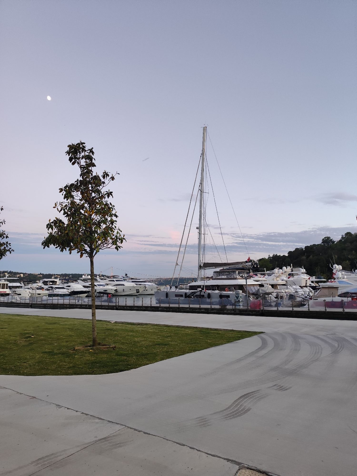 The image depicts a marina scene in Sarıyer, Turkey, at dusk or dawn. A tree stands in the foreground on a patch of green grass. A concrete pathway with tire tracks is visible. Beyond the grass and pathway, a row of yachts and boats are docked in the marina. The masts of the sailboats reach high into the sky. The sky is a soft gradient of blue and pink, with the moon visible. In the background, a forested area and what appears to be a bridge are discernible in the distance.