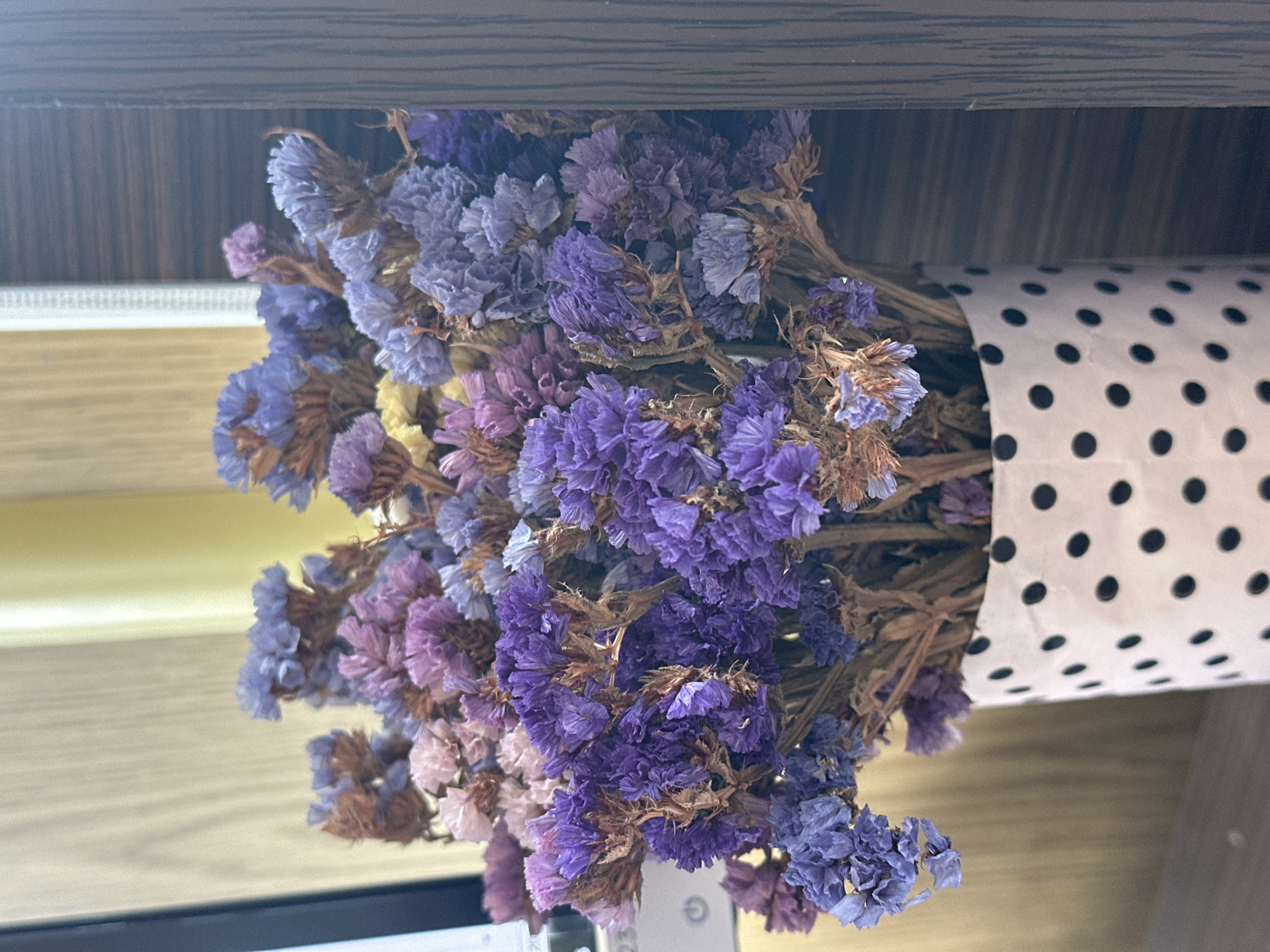 A close-up shot of a bouquet of dried flowers, primarily in shades of purple and blue, is presented in a white polka-dotted vase. The flowers are delicate and clustered, with some stems visible. The background is blurred, featuring vertical wooden textures and a pale yellow vertical element, possibly a curtain or a wall. To the left, a sliver of a dark rectangular object, possibly a monitor screen, is visible. The overall lighting is soft and natural, suggesting an indoor setting. The image provides no information about the city of Solontsi, Ukraine, or any specific actions or interactions occurring within the scene.