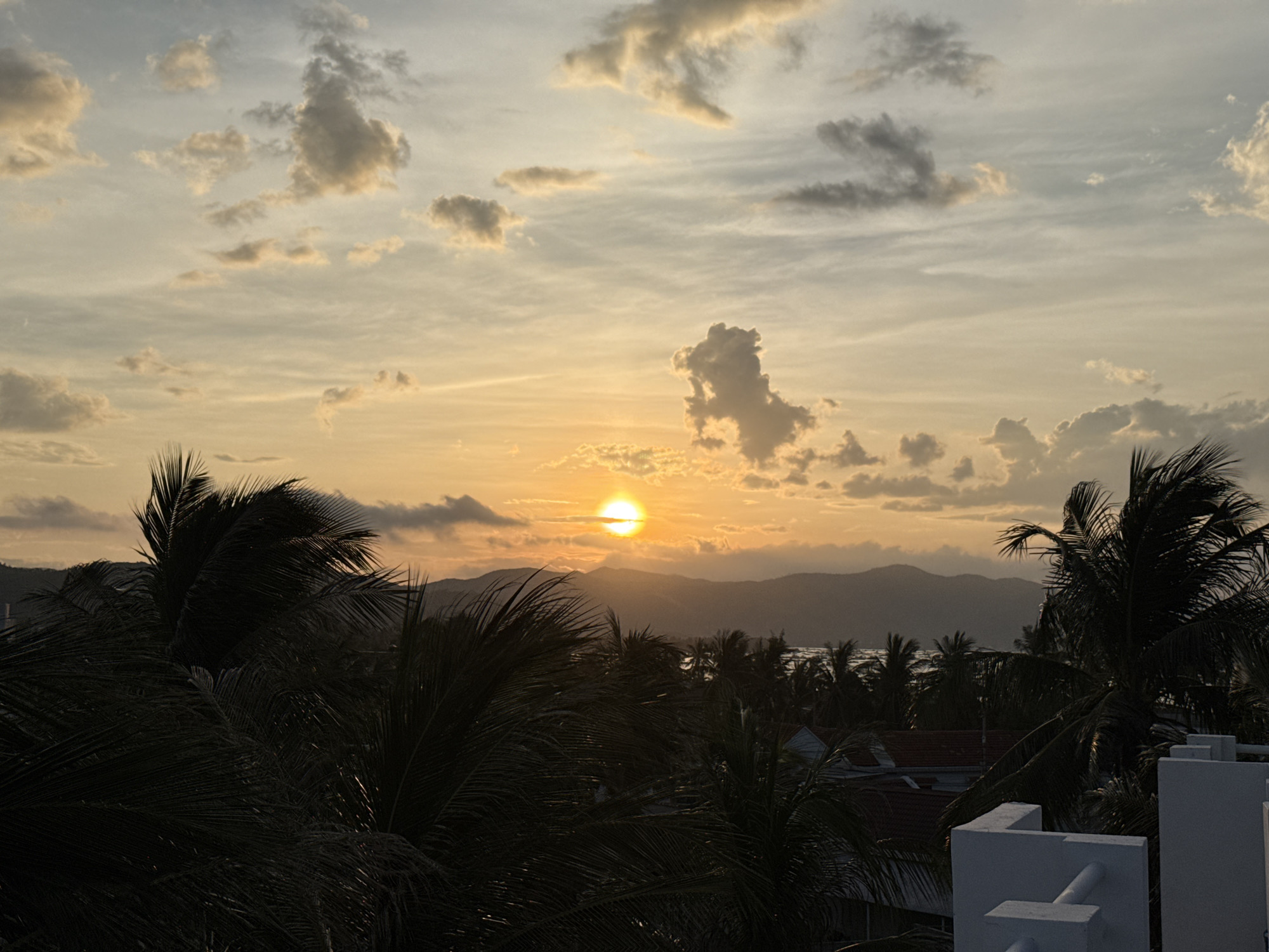 This is a photograph taken at sunset in the city of Song Cau, Vietnam. The sun is low on the horizon, casting a warm, golden glow across the sky. The sky is filled with scattered clouds, some of which are illuminated by the setting sun. In the foreground, silhouetted palm trees are visible, their fronds dark against the bright sky. Beyond the trees, mountains can be seen in the distance, and the sea stretches out towards the horizon. The overall impression is one of a tropical paradise at the end of the day.
