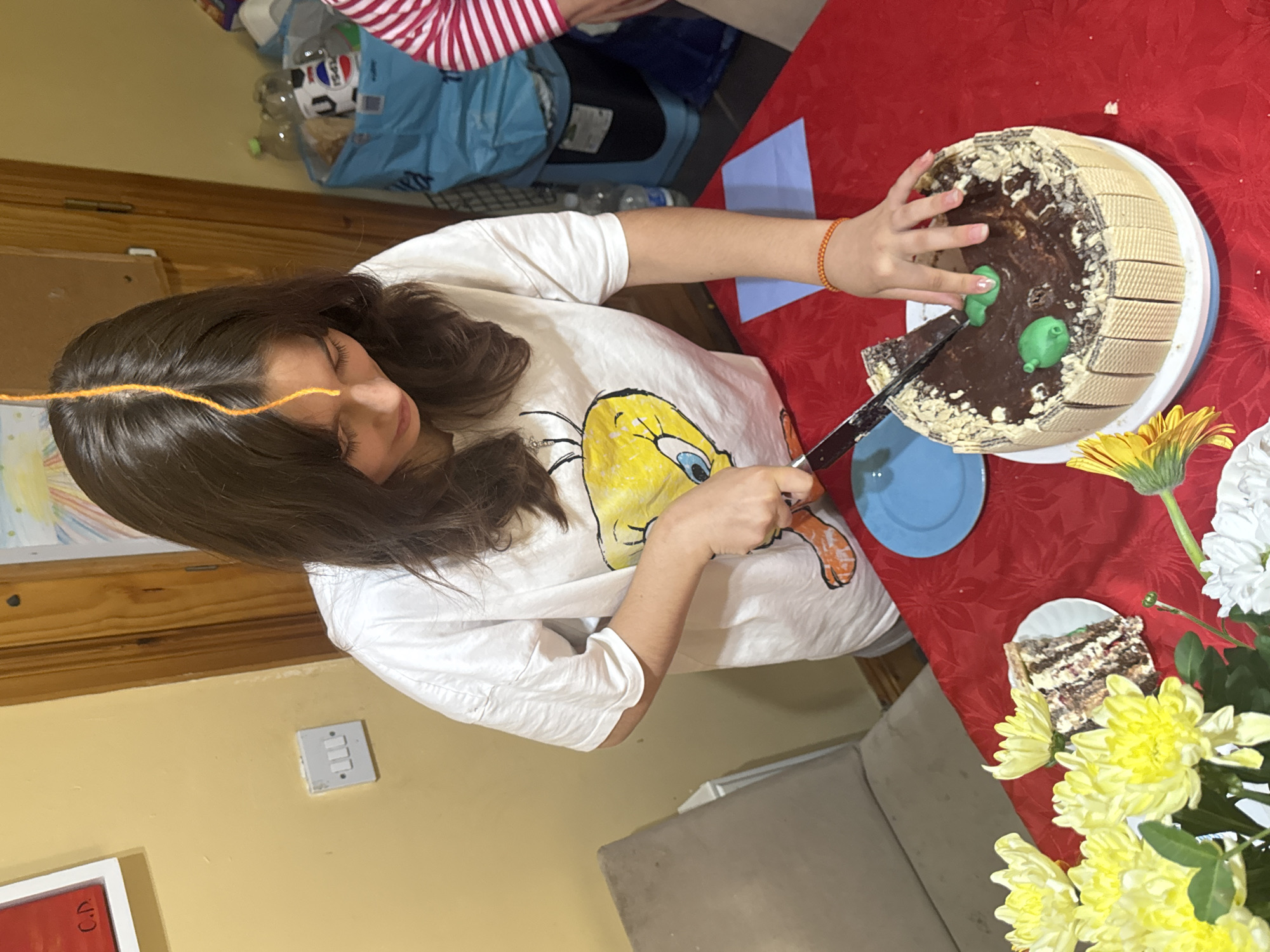 The image depicts a young female, with dark hair and an orange thread extending from her scalp, cutting a chocolate cake. She is wearing a white t-shirt with a Tweety Bird graphic. The cake is round, covered in chocolate frosting, and decorated with wafer biscuits around the sides and green, bulbous shapes on top. A slice of cake has already been cut and placed on a white plate. The scene takes place indoors, on a red tablecloth that is adorned with a subtle floral pattern. In the background, there is a wooden door, a light switch on a yellow wall, and a blue shopping bag with plastic bottles and other items. There are also yellow and white flowers arranged on the left side of the frame. This image does not provide any information that can be used to determine the location in the city of Waterford, Ireland.