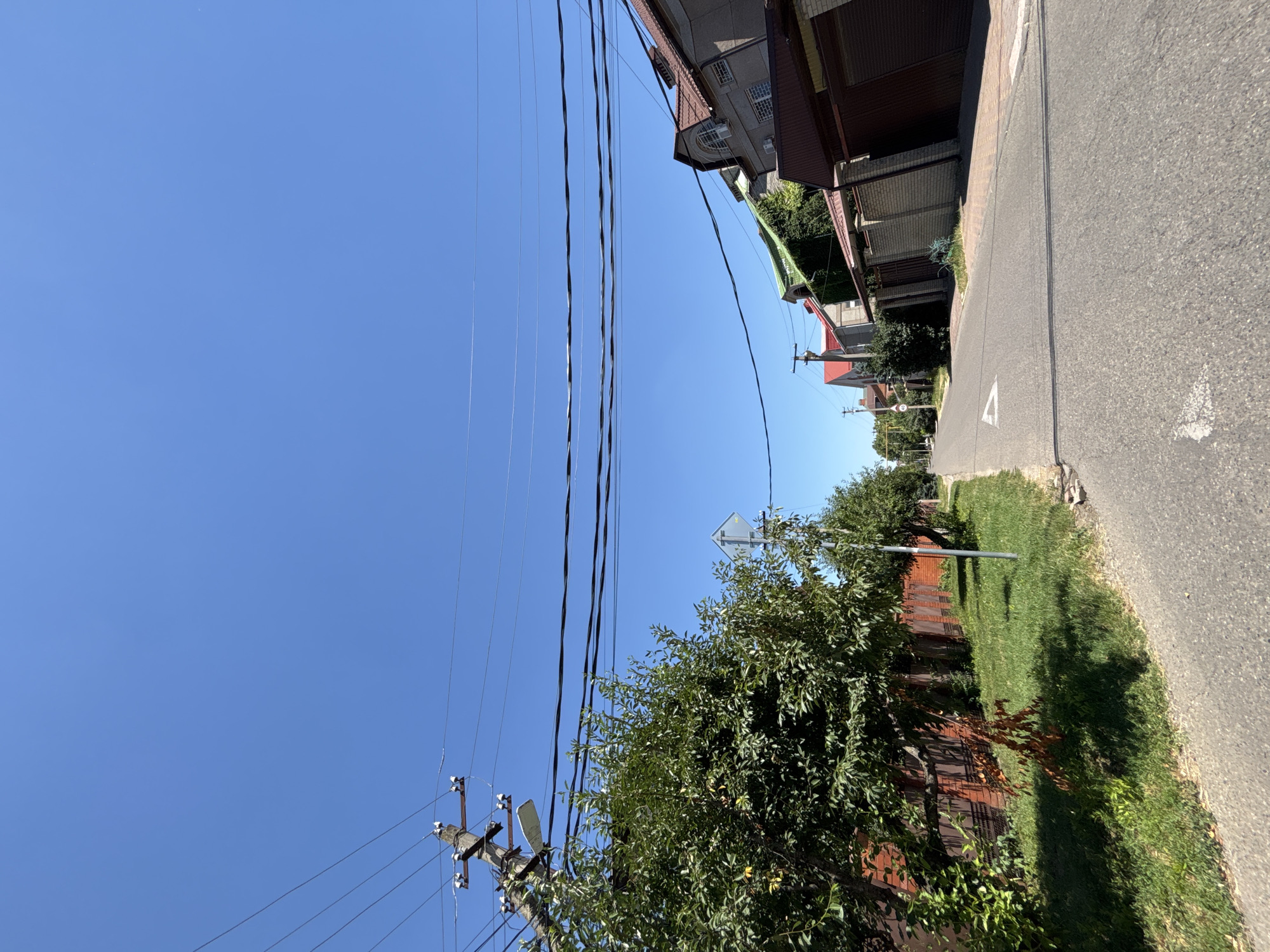 This image depicts a residential street in Krasnodar, Russia, on a clear, sunny day. The perspective is from ground level, looking up and along the street.
The scene is characterized by a row of houses with reddish-brown roofs and grey facades, interspersed with lush green trees and manicured lawns. A paved road runs along the right side of the image, with a white triangular marking visible on its surface, possibly indicating a traffic direction or hazard. A pedestrian sidewalk with brick paving is adjacent to the road and grass.
Overhead, a network of black power lines crisscrosses the bright blue sky, supported by wooden utility poles. One pole is particularly prominent in the foreground, with insulators and wires attached. A square, reflective street sign is also visible, mounted on a pole amidst the foliage.
The time of day appears to be midday, given the strong sunlight casting shadows and the clear, cloudless sky. The overall impression is one of a peaceful, suburban environment. No people are visible in the image, and no specific activity is taking place. The image conveys a sense of calm and everyday life in a residential area.