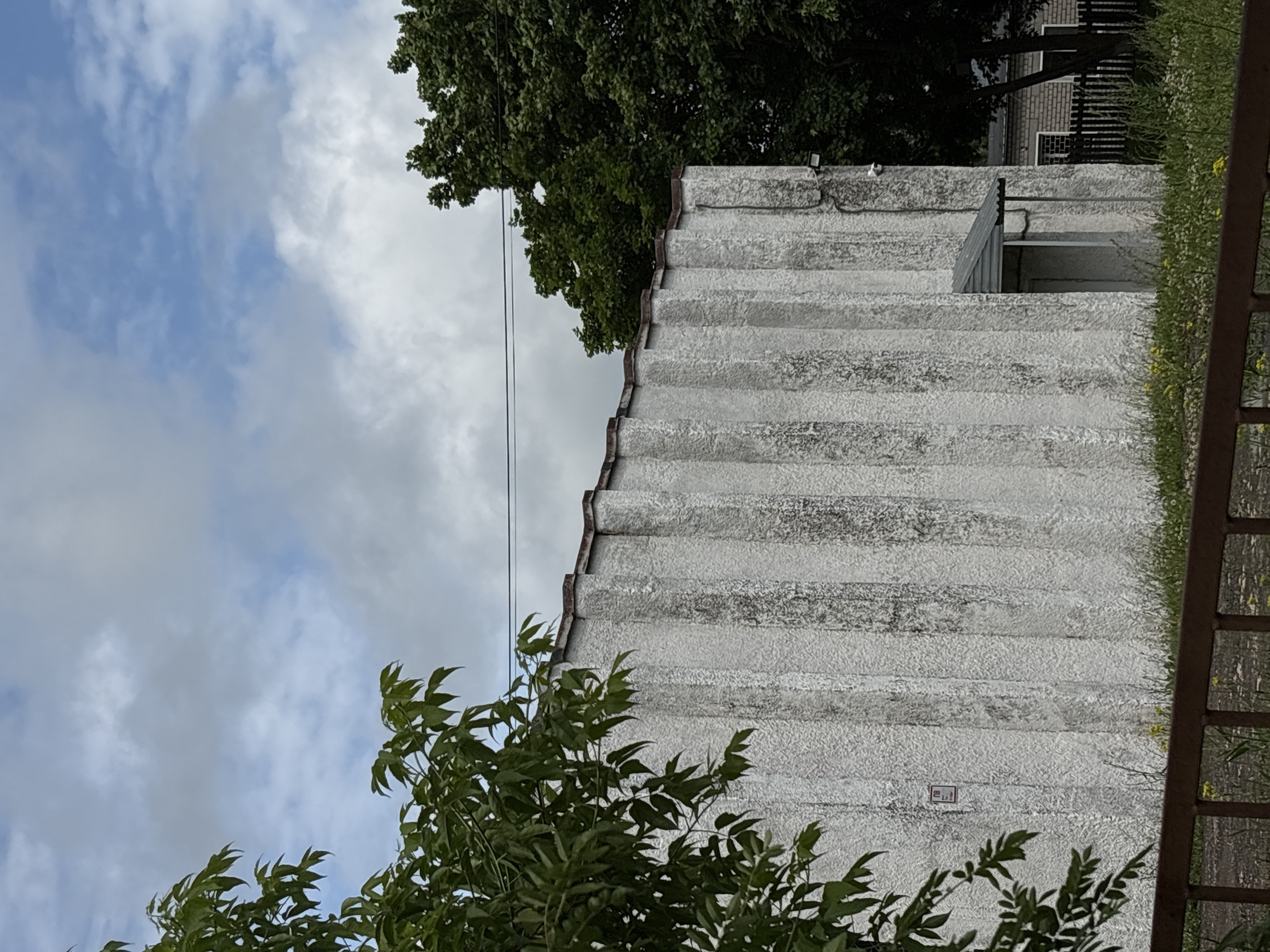 A cloudy sky looms over a weathered, white industrial-style building with vertical corrugated siding. In the foreground, the dark brown railing of a fence runs horizontally across the bottom of the frame. To the left, a lush green tree branch with serrated leaves hangs into the scene. Behind the main building, a darker green canopy of trees partially obscures a brick structure and a black wooden fence. A small, grey awning shelters a doorway on the side of the main building. A small red and white sign is affixed to the wall of the building on the left. The ground in front of the building is covered with grass and small yellow flowers.