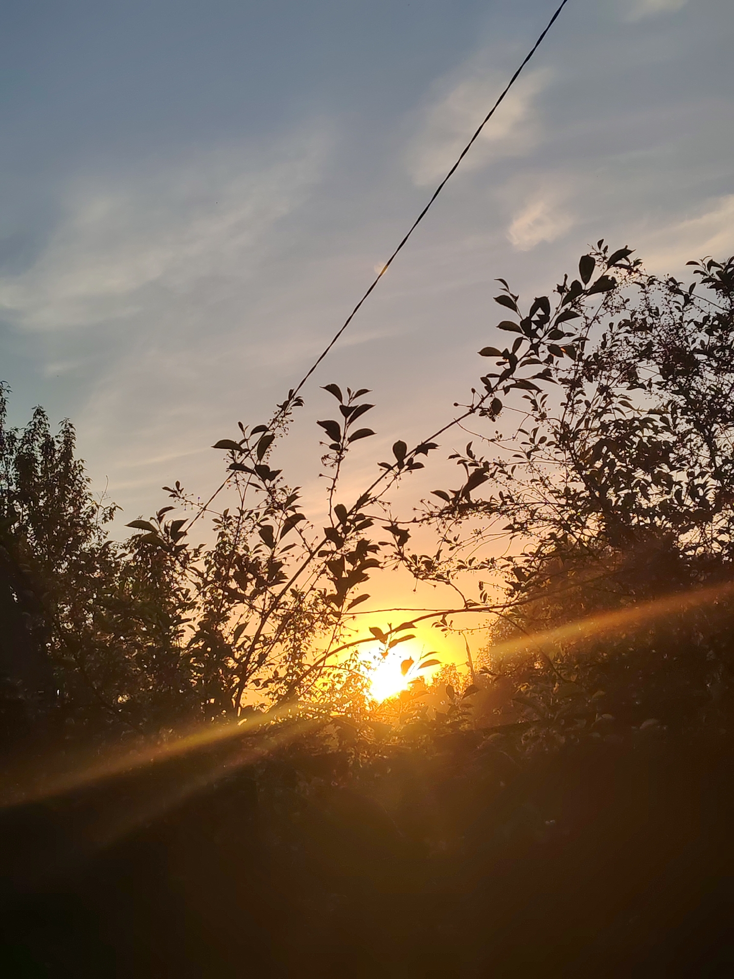 The image captures a sunset in what appears to be a natural area. Silhouetted trees and foliage are prominent in the foreground, partially obscuring the sun, which is visible as a bright, glowing orb. A power line bisects the upper portion of the frame diagonally. The sky is a mix of light blue and orange hues, with some cloud cover. The location in Podolsk, Russia is uncertain, but based on the landscape features (vegetation, presence of power lines), it could be a park, a wooded area, or the outskirts of the city.