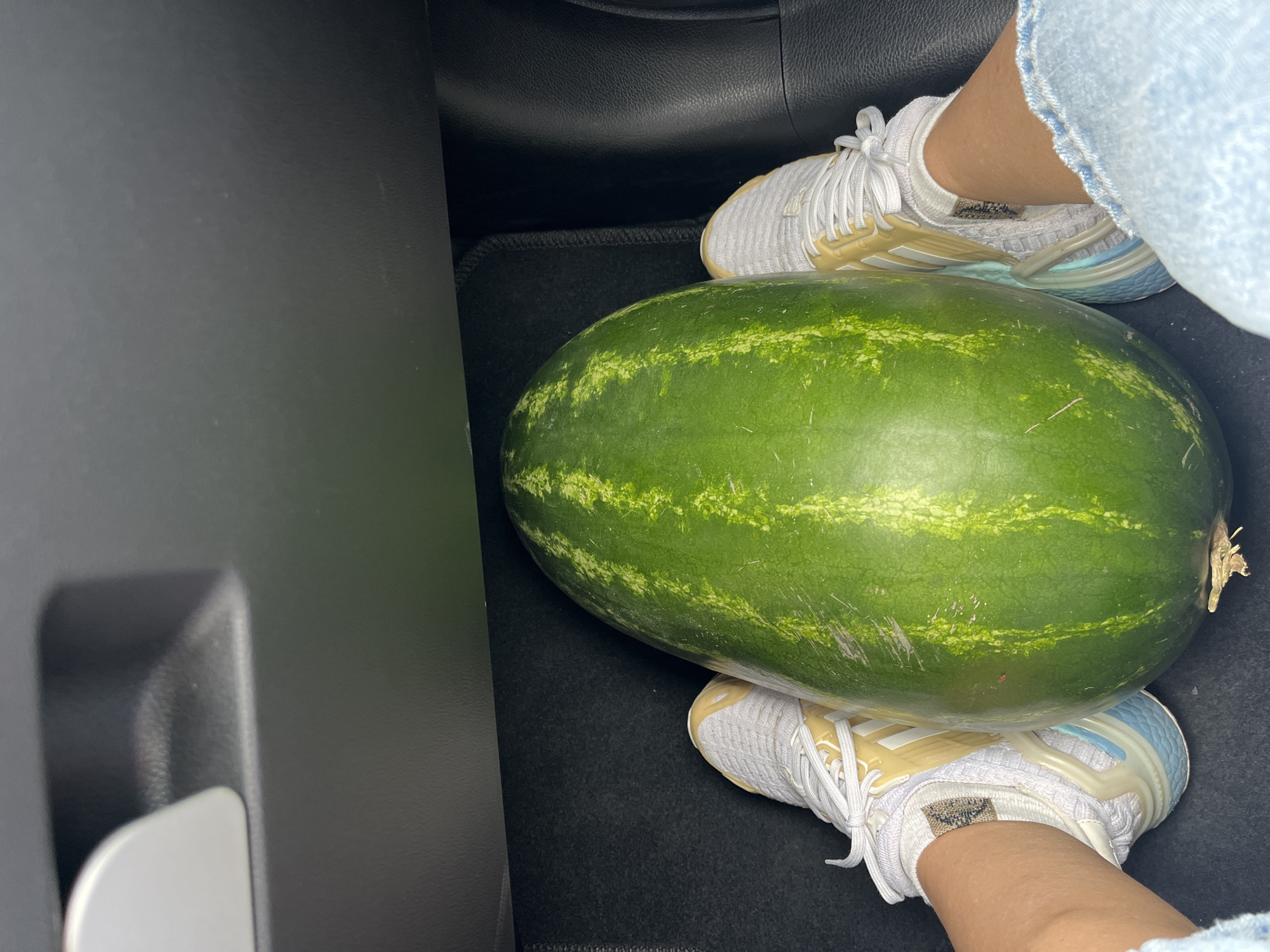 In Astana, Kazakhstan, a large, oblong watermelon rests on the floor of a vehicle, wedged between two feet. The watermelon is vibrant green with darker green stripes running lengthwise. The feet are adorned with white athletic shoes featuring yellow accents and blue soles. The interior of the vehicle appears to be black, with visible carpeting on the floor. The image is captured from a high angle, looking down at the watermelon and the feet.