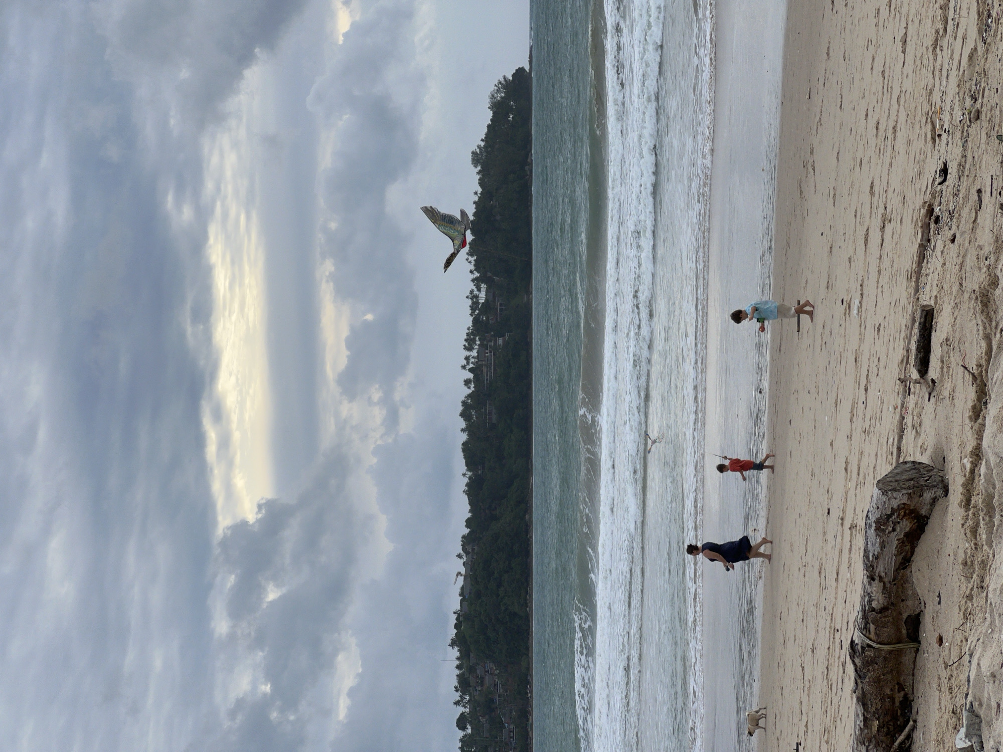A wide shot captures a family on a sandy beach in Choeng Thale, Thailand. The sky is overcast with dramatic grey clouds, with a sliver of lighter sky visible towards the horizon. A kite in the shape of a bird with colorful wings is flying high in the sky above a lush green headland dotted with buildings. The ocean has moderate waves breaking on the shore, and the tide is out, exposing a wet sand area.
On the beach, a woman in a dark dress walks to the left, while a young boy in a red shirt walks ahead of her to the right, holding a stick. Further to the right, another young boy in a light blue shirt stands with his hands clasped in front of him. A small dog, possibly a pug, walks near the woman. In the foreground, a large, weathered log lies on the sand, with smaller pieces of driftwood scattered around it. The scene appears to be set in the late afternoon or early evening, given the subdued lighting.