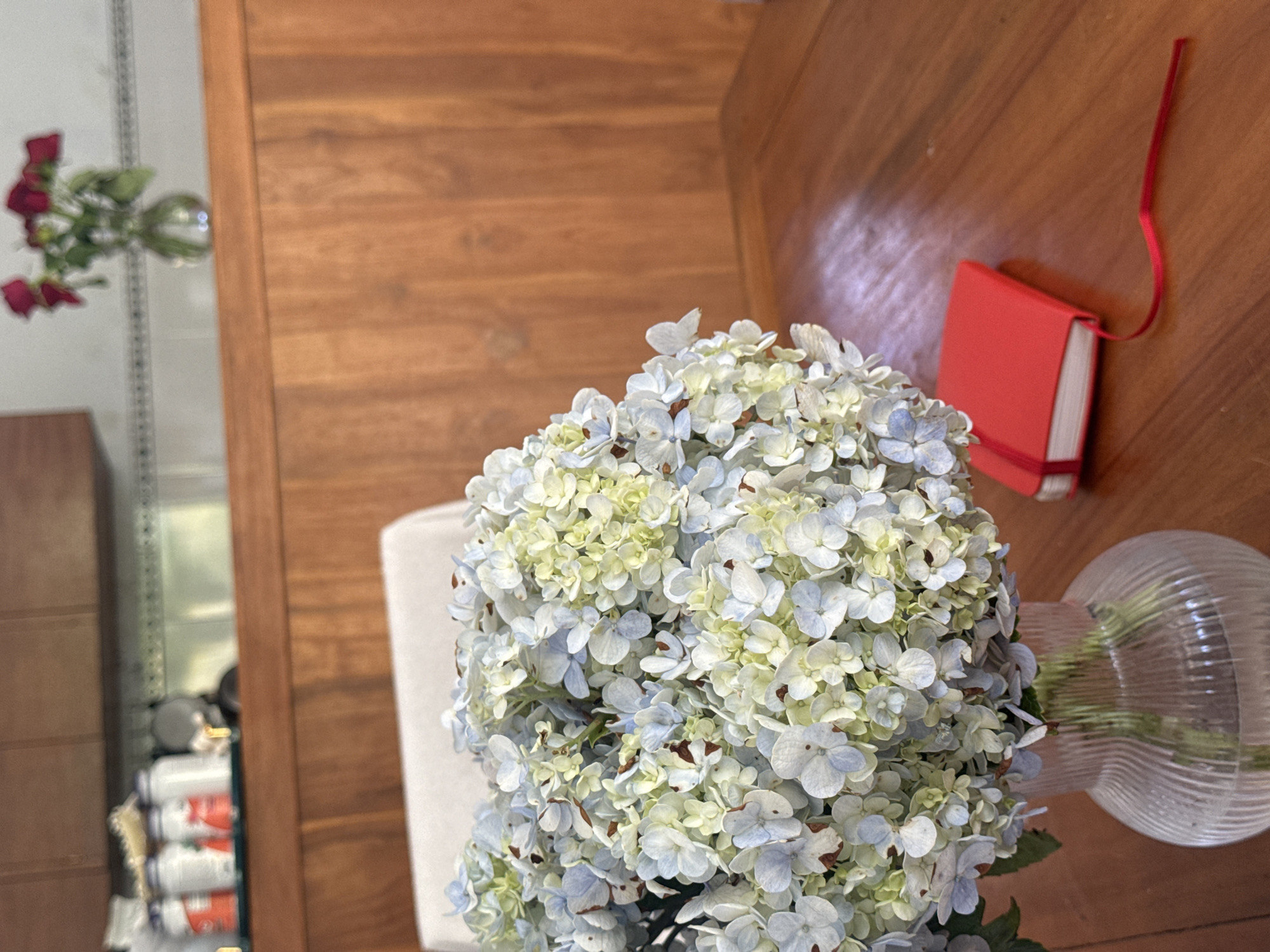 The image depicts a tabletop scene. A vase of light blue and white hydrangeas occupies the center of the frame. To the right, a small red notebook lies on the table, with a red ribbon bookmark extending from it. In the background, a shelf is visible, filled with assorted items, and a vase of red roses is blurred in the distance. The tabletop is wooden. The location is potentially Pejeng, Indonesia.