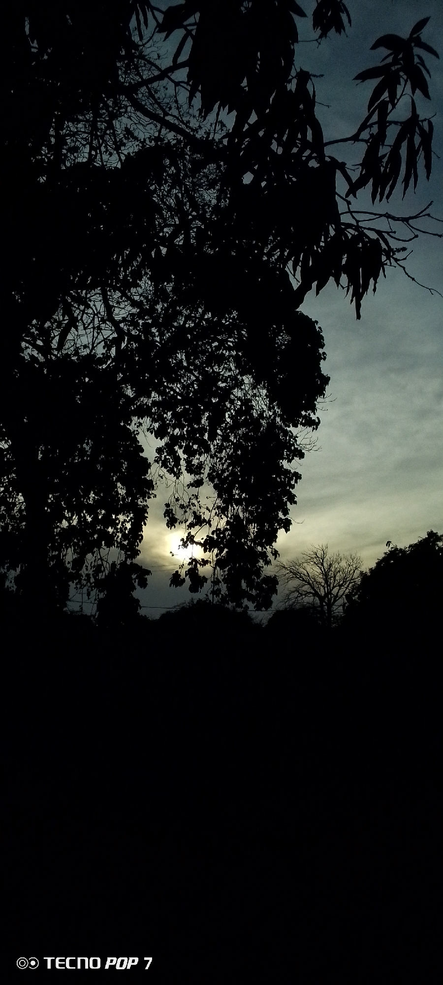 The image presents a dramatic, high-contrast natural landscape, captured at what appears to be either dawn or dusk in Altagracia, Venezuela. The scene is dominated by the dark silhouettes of dense trees and foliage against a soft, luminous sky.
The upper two-thirds of the image showcase the intricate patterns of tree branches and leaves, rendered almost entirely black due to the strong backlighting. The sky, visible through and above the trees, transitions from a muted, dusky blue-grey at the top to a brighter, hazy yellowish-white near the center-left. A diffused glow, likely from the sun, is partially visible through a gap in the foliage, illuminating the clouds and creating a focal point. Further back, another tree with bare branches is faintly visible as a silhouette against the lighter sky, suggesting a different type of tree or perhaps one without leaves.
The lower third of the image is engulfed in deep shadow, appearing almost completely black, indicating very dense vegetation or a lower ground level not reached by the faint light. There are no people or specific activities depicted; the scene is a contemplative study of light and shadow in nature. The overall mood is tranquil and serene, emphasizing the beauty of a transitional moment in the day.
In the bottom-left corner of the image, the text "TECNO POP 7" is clearly visible, indicating the device used to capture the photograph.