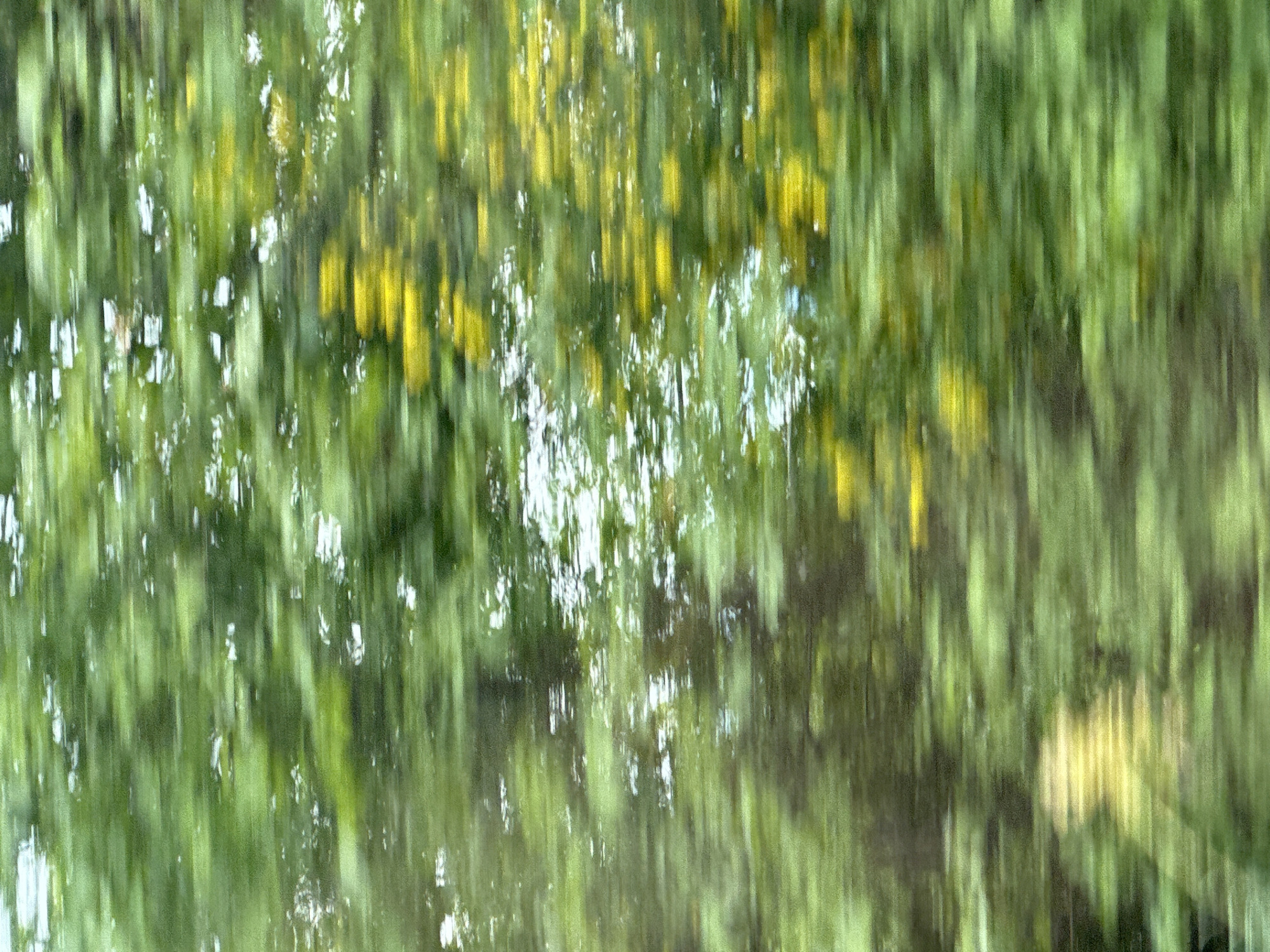 The image presents a blurred view of foliage, predominantly green with hints of yellow, possibly depicting trees or bushes in a state of motion. The blurry nature of the image makes it difficult to identify specific details, but the presence of green and yellow suggests vegetation. There is no evidence to confirm the location as Donji Ulići, Montenegro or any specific place. No people, objects, or actions are identifiable.