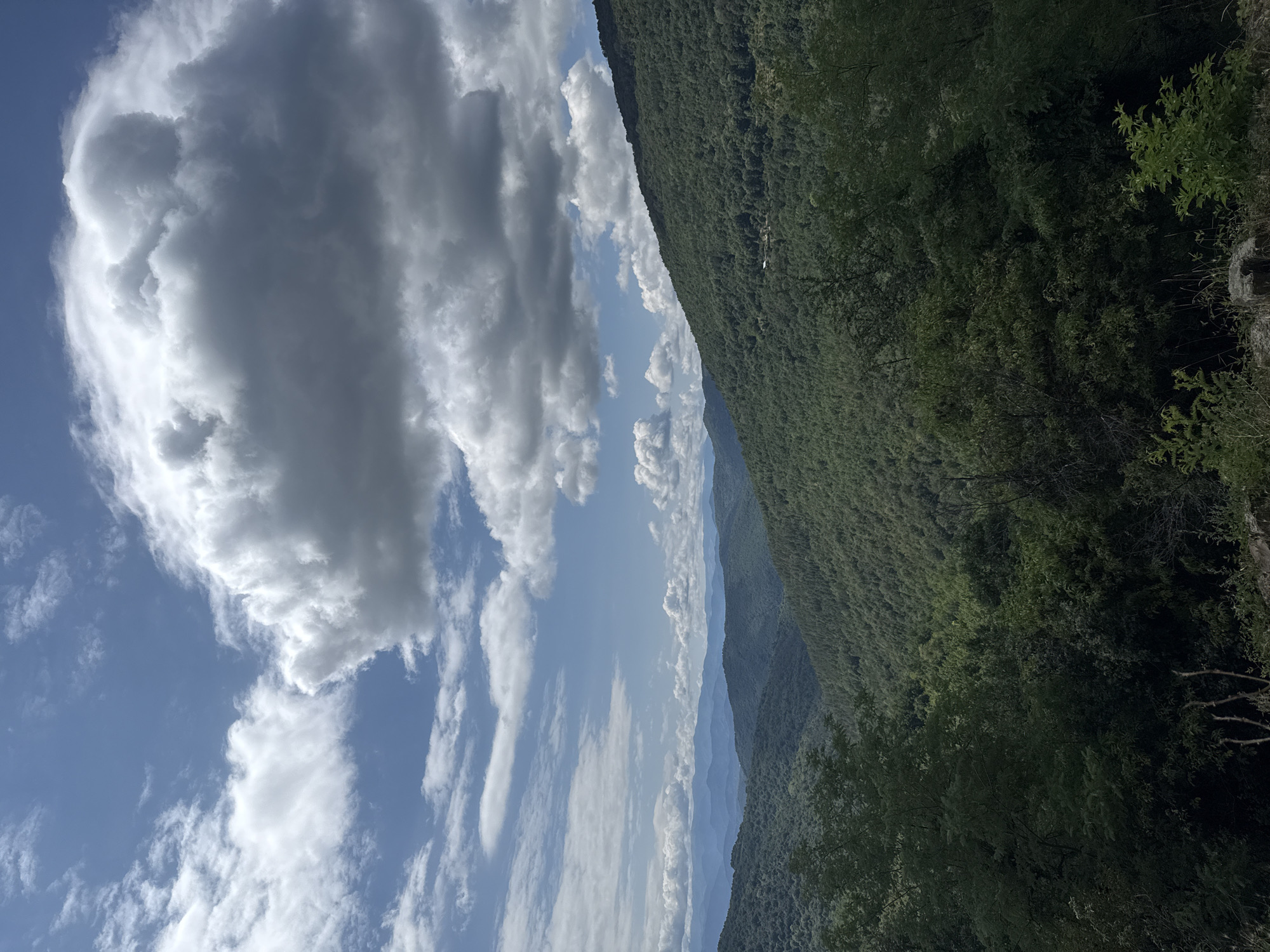 The image depicts a panoramic view of lush, green mountainous terrain under a partly cloudy blue sky. The foreground features dense foliage and some rocks. The middle ground is dominated by rolling hills covered in dense, dark green trees, suggesting a forest. In the background, layers of mountains fade into a hazy blue, indicating distance. Several large, white and gray cumulus clouds are prominent in the sky, casting shadows on the mountains. The scene appears to be a natural landscape, likely a mountainous region. There are no people or animals visible in the image, nor any discernible human structures except for what might be a very small building or structure barely visible on the slope of one of the distant hills, too small to identify with certainty. The overall impression is one of natural beauty and tranquility. The location is described as Manaselska Reka, Bulgaria.