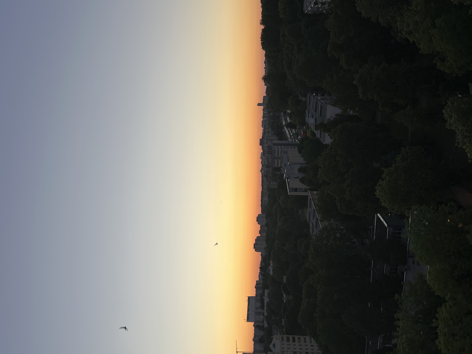 The image captures an aerial view of a city at sunset, likely Minsk, Belarus, given the architectural style of the buildings and the urban greenery. The sky displays a gradient of colors, transitioning from a pale blue at the top to a vibrant orange near the horizon, indicative of sunset. Two birds are visible in flight against the sky.
The urban landscape below is dense with trees, creating a significant amount of green canopy. Scattered amongst the trees are various buildings, including apartment blocks and some taller structures. A construction crane is visible on the left side of the image, suggesting ongoing development. The lighting suggests it is either early morning or late evening, with the sun low on the horizon. No people are directly visible in the frame. The overall scene depicts a juxtaposition of urban development and natural elements.