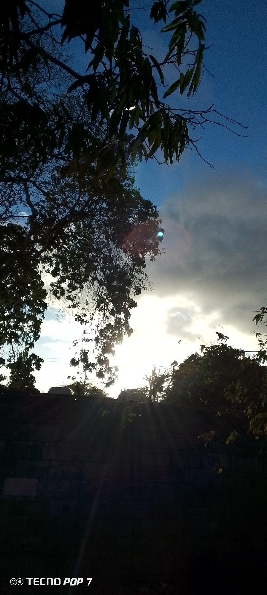 The image depicts a silhouette of trees against a bright, overcast sky. The sky is partially blue with sections of white and gray clouds behind the trees. Light rays shine through the branches. The lower portion of the image is dark, obscuring details, but what appears to be a wall or building is visible along the bottom. The photograph was taken with a TECNO POP 7 mobile phone, implying it was captured at ground level. I can't discern the exact location in Altagracia, Venezuela, due to the obscuring details. No people, distinct subjects, or specific actions or interactions are visible in the image. The environment is natural, defined by trees and the sky.