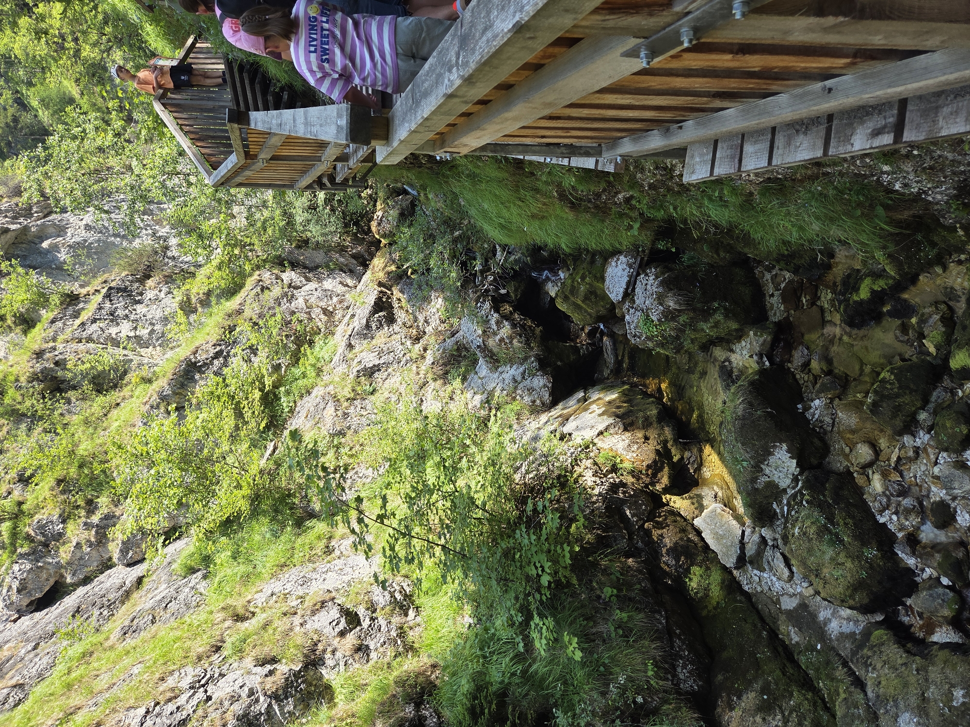 The image depicts a wooden walkway constructed along a rocky, verdant gorge in Landl, Austria. The walkway, made of weathered planks and railings, follows the contours of the steep gorge, which is characterized by lush green vegetation, including grass and trees, growing on its rocky slopes. A small stream or river flows through the bottom of the gorge, with water visible amongst moss-covered rocks.
Several people are present on the walkway. In the foreground, a person wearing a pink and white striped shirt with the text "LIVING SWEET LIFE" is visible from behind, facing away from the camera. To their left, another person's legs in grey shorts and another person's legs in blue shorts are visible. Further up the walkway, a young person in an orange t-shirt and black shorts stands on a section of the stairs, holding a white bag. The background shows more of the gorge's rocky terrain and dense greenery. The scene is illuminated by natural daylight, casting shadows on the walkway and rocks.