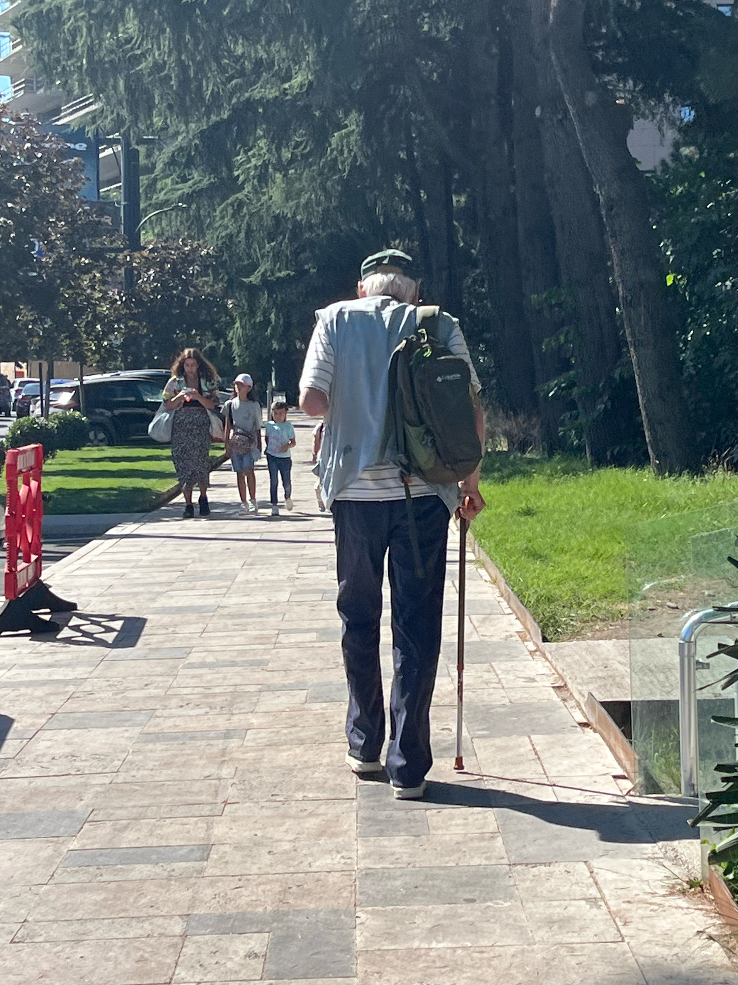 An elderly man wearing a blue and white striped shirt, dark pants, and a green cap walks away from the camera on a paved sidewalk, using a walking stick. He has a dark green backpack on. Behind him, a woman in a patterned skirt and light-colored top, a young girl in a light blue shirt and denim shorts, and another child in a light blue t-shirt walk in the same direction. A red barrier is visible on the left side of the sidewalk. In the background, there are trees, grass, and buildings. The scene appears to be on Rustaveli Avenue in Tbilisi, Georgia.