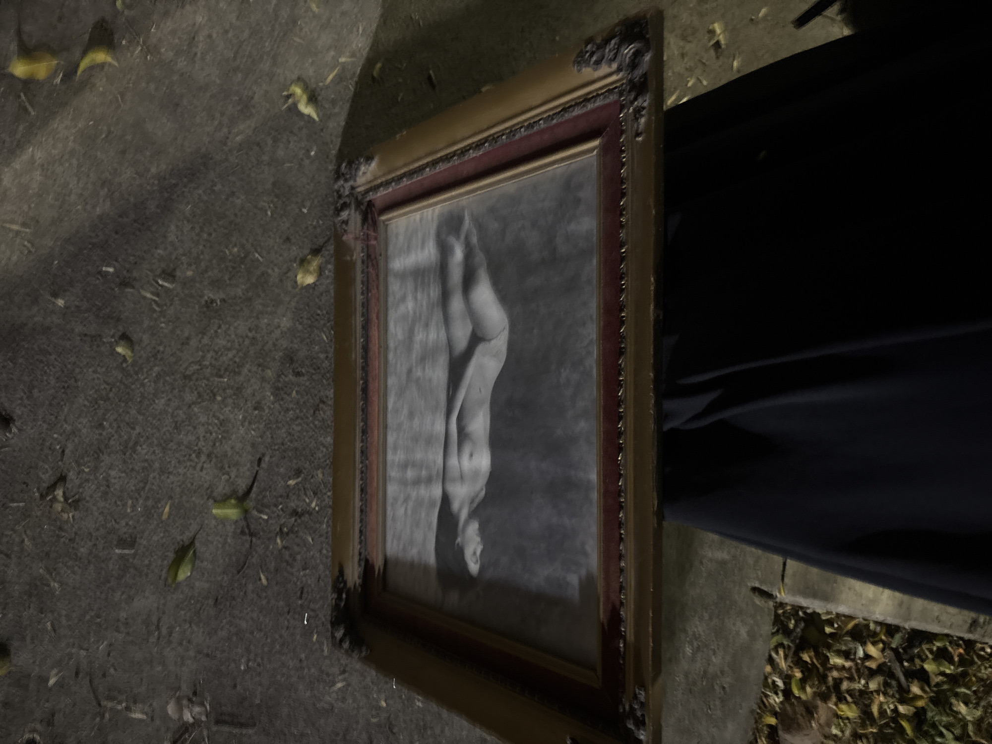 The image depicts a framed black and white photograph of a nude female figure resting on a sidewalk. The photograph is in a decorative gold frame with a maroon inner border. The frame is slightly weathered. To the right of the framed photo, there is a dark, draped object. The ground surrounding the photo is concrete with scattered leaves. The lighting suggests an outdoor scene at dusk or night. There's no definitive evidence to place the scene specifically in Mexico City, Mexico. There are no visible people or interactions. The scene appears staged.