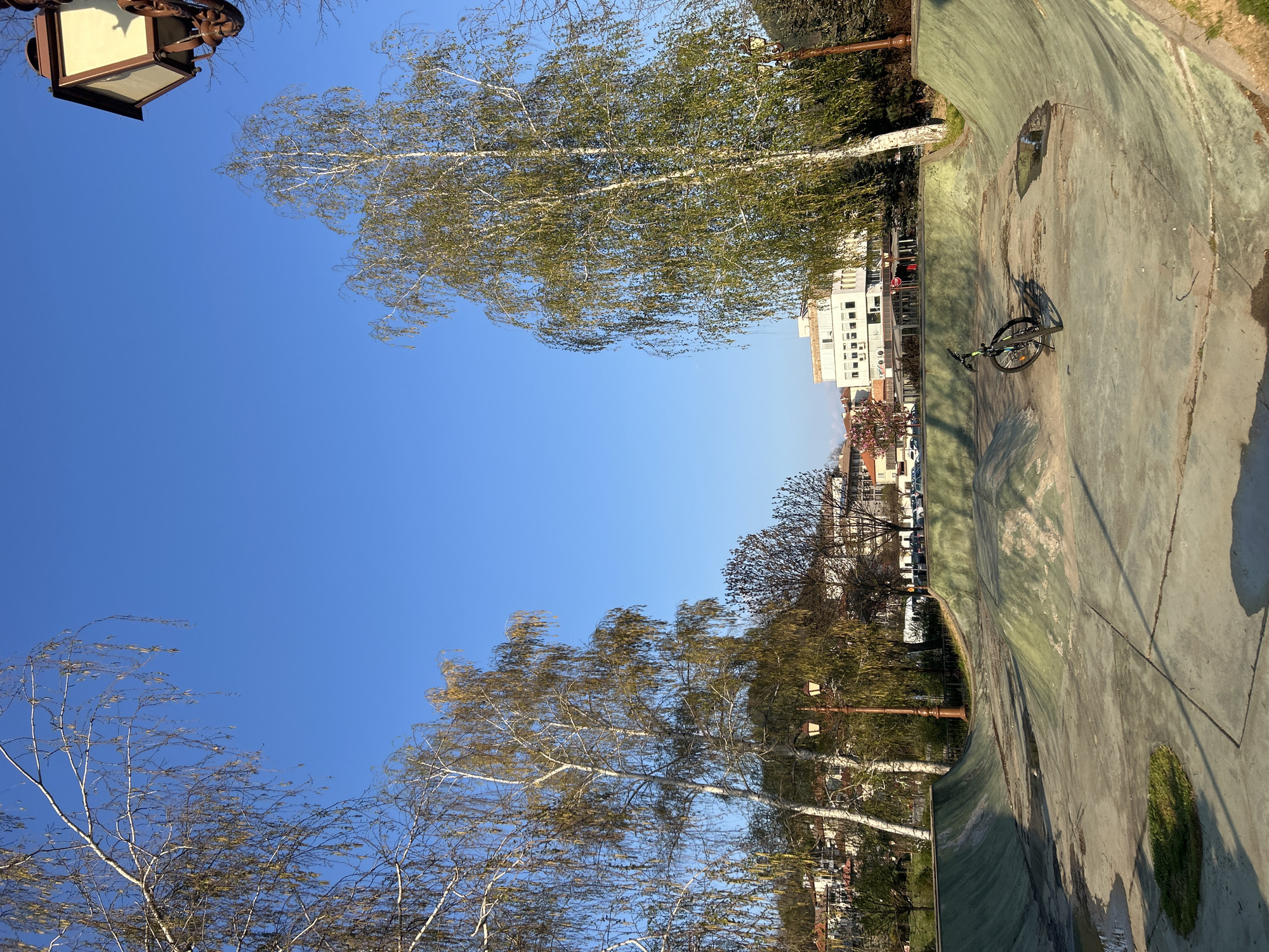 The image shows a concrete skatepark in Zlatograd, Bulgaria, with a bicycle lying on the surface. The park has a curved design, and there are puddles of water present. Trees with white trunks are visible along the edge of the park, and buildings and parked cars are in the background. The sky is clear and blue. A vintage street lamp is in the upper left corner of the frame.