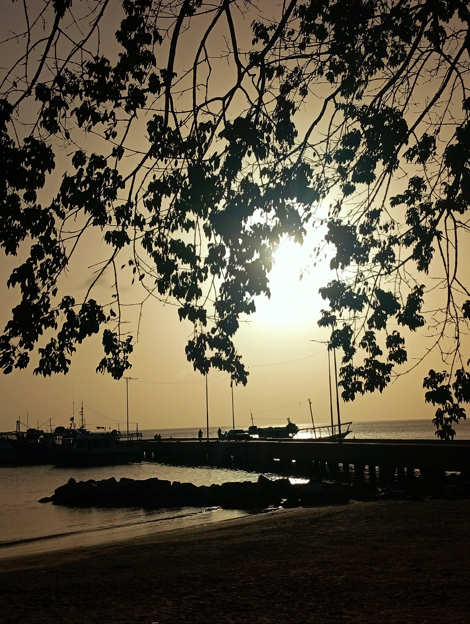 The image depicts a serene coastal landscape during either sunset or sunrise in Juan Griego, Venezuela, characterized by strong backlighting that creates dramatic silhouettes. Dominating the upper portion of the frame are dark, intricate branches and leaves of a tree, forming a natural arch that frames the scene below.
In the midground, a long pier or jetty extends into calm, reflective water. Several small boats are moored near the pier, their dark shapes clearly visible against the brighter sky and water. A larger boat with a mast stands out on the left side of the pier. Several small, silhouetted human figures are scattered along the pier, suggesting casual activity like strolling or fishing. Along the immediate shoreline, a collection of dark rocks forms a natural barrier, with gentle waves lapping against the sandy beach in the foreground.
The sky, particularly around the horizon, glows with warm, diffused light emanating from the low-lying sun, which appears as a brilliant, almost white disc near the center-left. The overall color palette is dominated by warm yellows, oranges, and deep browns, enhancing the tranquil and contemplative atmosphere. The water reflects this golden light, creating subtle glimmering effects. No specific text is visible in the image. The weather appears clear and calm.