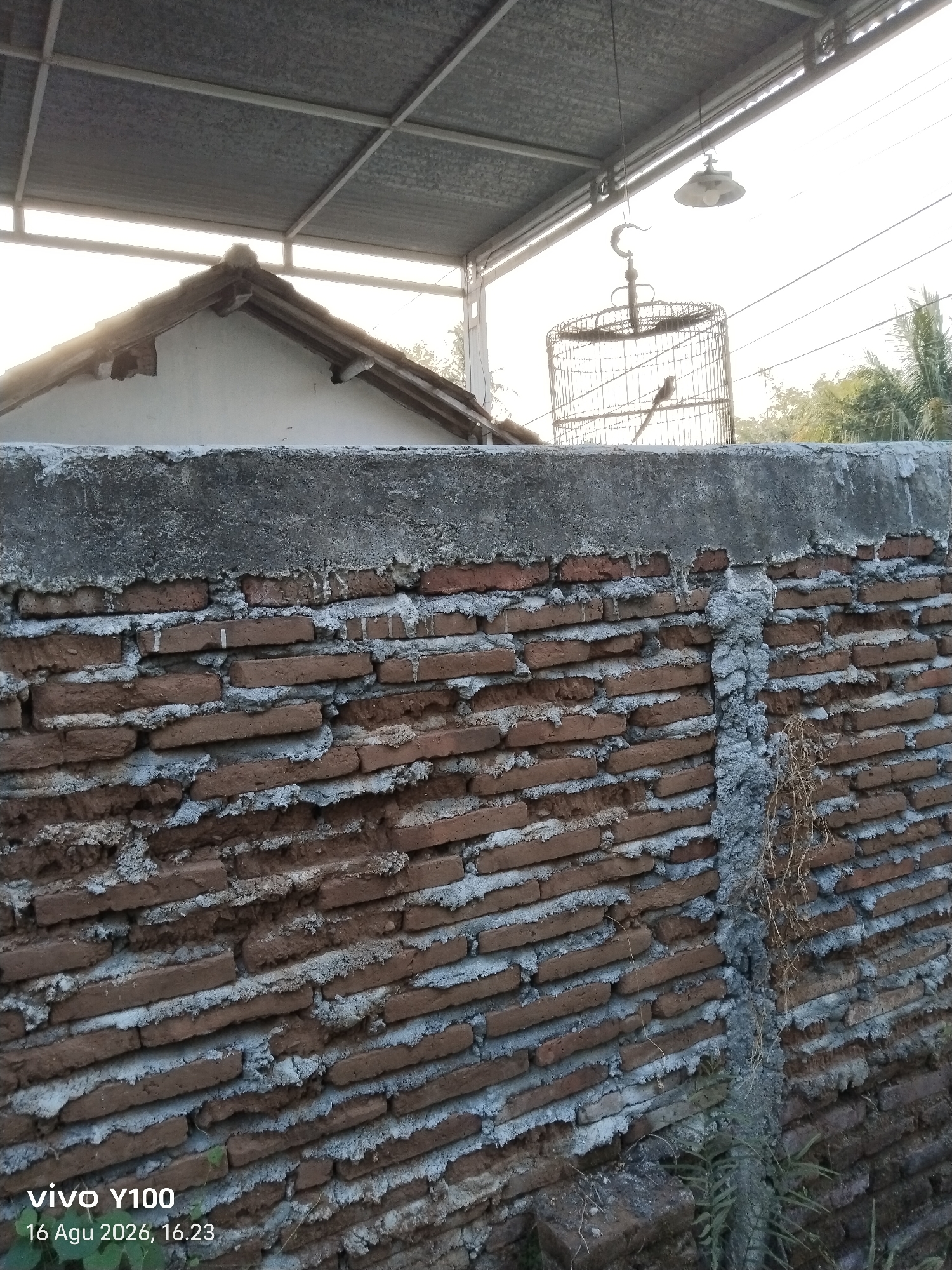 The image depicts an outdoor scene in what appears to be a residential area. A rough brick wall, partially covered with cement, occupies the foreground and midground, extending across the frame. Above the wall, a roof structure with metal roofing is visible, supported by metal beams. A white building with a pitched roof is situated behind the wall, partially obscured by the roof structure. In the upper right portion of the frame, a birdcage hangs from a hook, with a bird inside. A light fixture is also suspended from the roof structure. The background shows trees and foliage against a bright, overcast sky. A watermark at the bottom left corner indicates "vivo Y100" and a date and time: "16 Agu 2026, 16.23". The location is identified as Kendit, Indonesia.