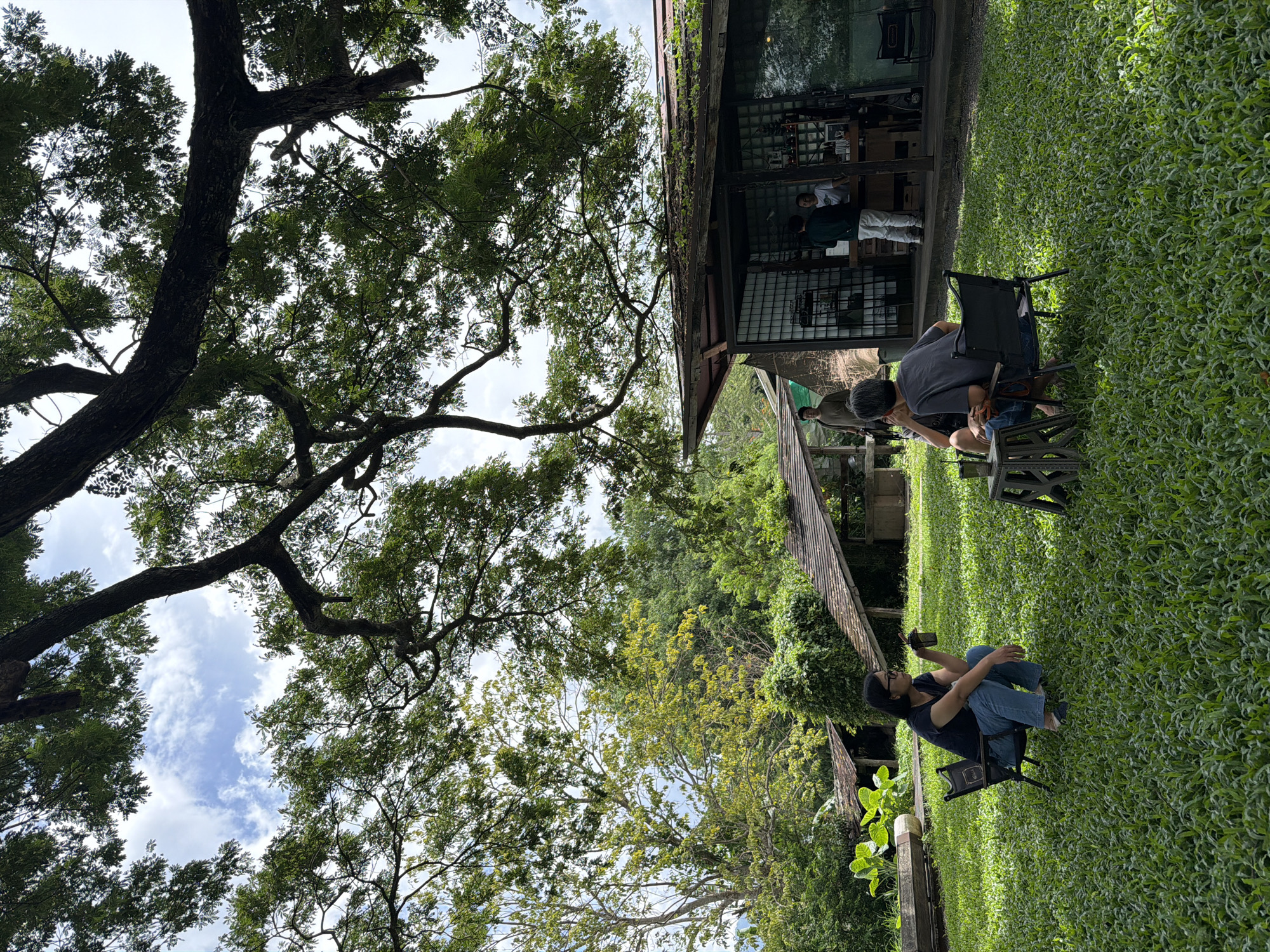 In Tambon San Phi Suea, Thailand, two individuals are seated on lawn chairs in a lush green grassy area under the canopy of a large tree. The woman on the left, wearing a dark t-shirt and blue jeans, is squatting slightly while holding a cup. The man on the right, dressed in a grey t-shirt and blue jeans, is seated and facing away from the camera. A small table with a beverage sits between them. In the background, a modern building with a glass facade serves as a cafe, with several people visible inside and near the counter. Another rustic structure with a wooden roof is situated to the left of the cafe, surrounded by dense foliage. The scene is characterized by a natural, relaxed outdoor setting.