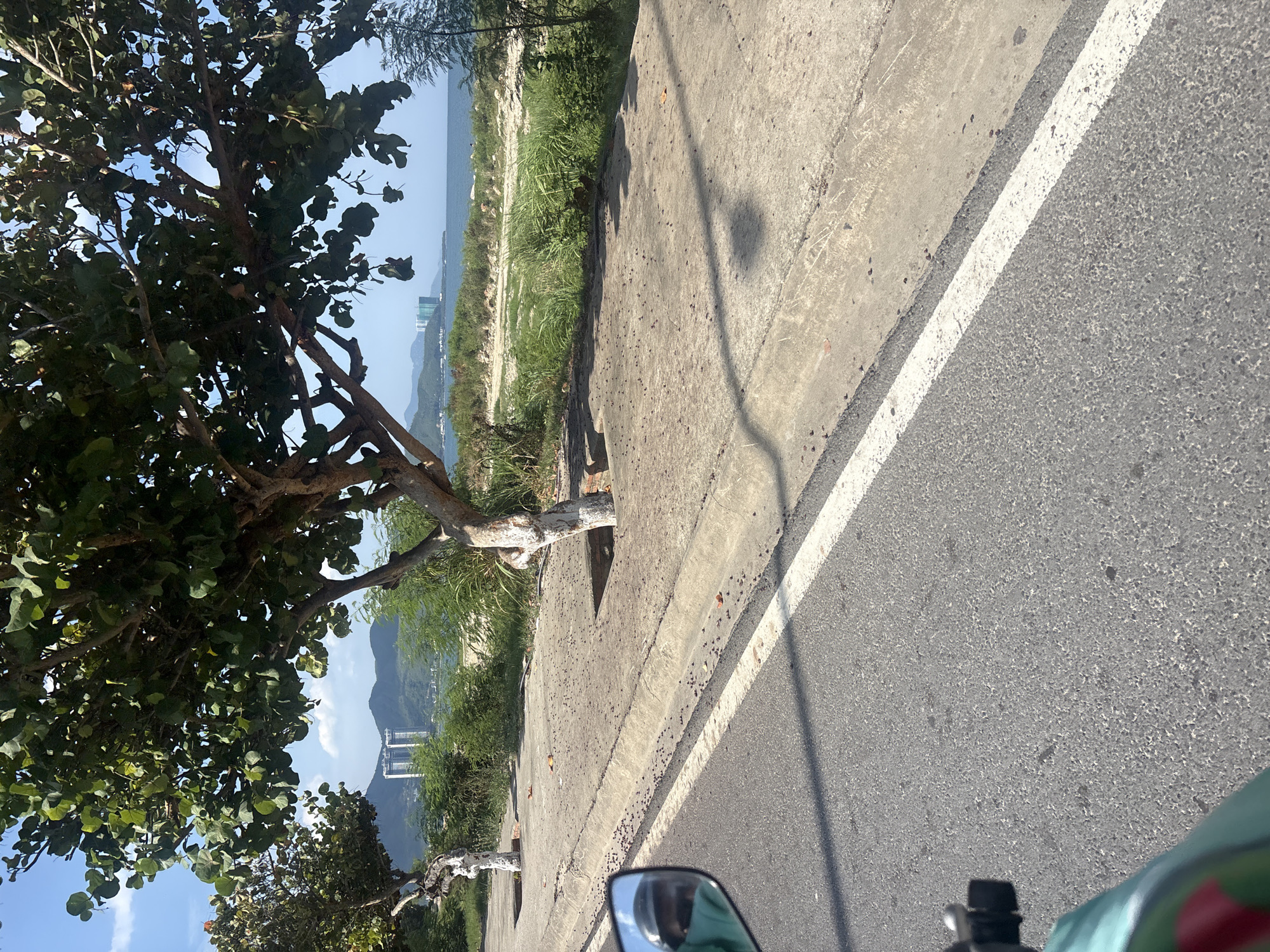The image depicts a coastal roadside scene in Nha Trang, Vietnam. The foreground shows a portion of an asphalt road with a white dashed line, bordered by a concrete curb. To the right of the curb is a paved area with scattered small dark objects, possibly fallen fruit or debris, and two trees with white-painted trunks. Behind this paved area is a sandy embankment with green vegetation, leading to the sea. In the distance, the calm ocean is visible, with hazy hills and modern buildings on the coastline. A reflection of a person wearing a helmet and a green garment is visible in a motorcycle mirror on the left side of the image. The sky is blue with scattered clouds. The overall environment suggests a sunny day in a tropical coastal city.