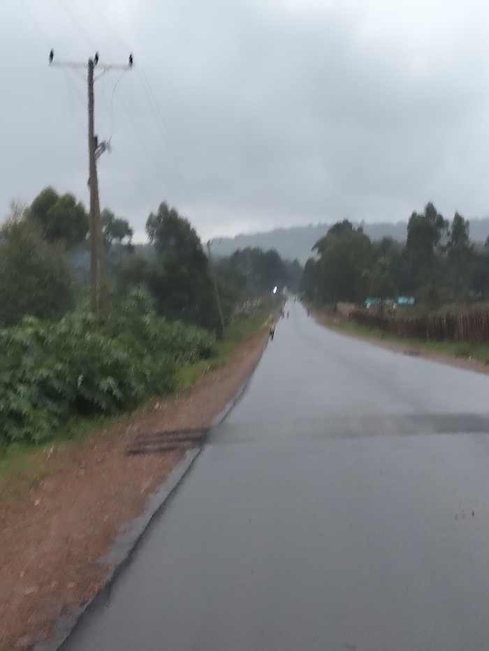 This image depicts an overcast outdoor scene in Nyansiongo ward, Kenya, focusing on a wet asphalt road extending into the distance.
**Environment:** The sky is uniformly gray and overcast, suggesting a cloudy day or low light conditions. The asphalt road surface is dark and appears wet, reflecting minimal light, indicating recent rain. A reddish-brown dirt shoulder runs along the left side of the road. Beyond this, dense green vegetation, including bushes and trees, lines both sides of the road. Distant hills or mountains are visible in the background, partially obscured by atmospheric haze or low clouds.
**Objects:**
* A tall wooden utility pole with at least two cross-arms and multiple overhead power lines is positioned on the left side of the road, approximately one-quarter into the frame from the left edge.
* Faint white smoke or steam is visible rising from behind the vegetation on the left side, beyond the utility pole.
* A light source, appearing as a bright white點, is visible far down the road in the center, potentially a vehicle headlight or a distant fixed light.
* On the far right side of the road, indistinct structures or materials, possibly part of a fence or a small roadside setup, are visible amidst vegetation.
**People/Subjects:**
* Several small, indistinct, blurry human figures are visible on the road surface in the distant background, appearing to be walking or standing. Their specific features or attire cannot be discerned.
**Actions/Interactions:**
* The indistinct figures on the road suggest pedestrian movement or presence in the distant area of the scene. No specific interactions between individuals or with the environment are clearly identifiable.