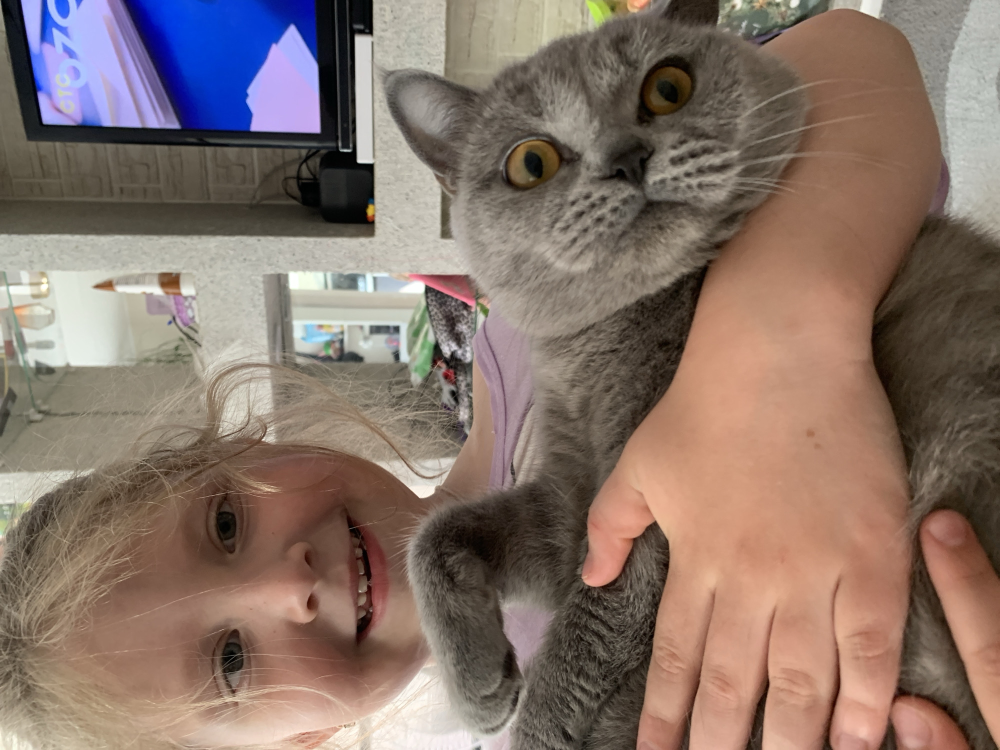 An indoor medium shot shows a young girl with blonde hair and a light pink shirt holding a grey cat. The girl is smiling with her mouth open, showing her teeth. The cat is positioned horizontally across the girl's arms, facing the camera. The cat has large, round, amber eyes and grey fur. The background is blurred but includes a television on the right displaying a colorful image and a textured wall. There are some shelves and objects visible on the left side of the background. The scene appears to be a domestic setting within a city.