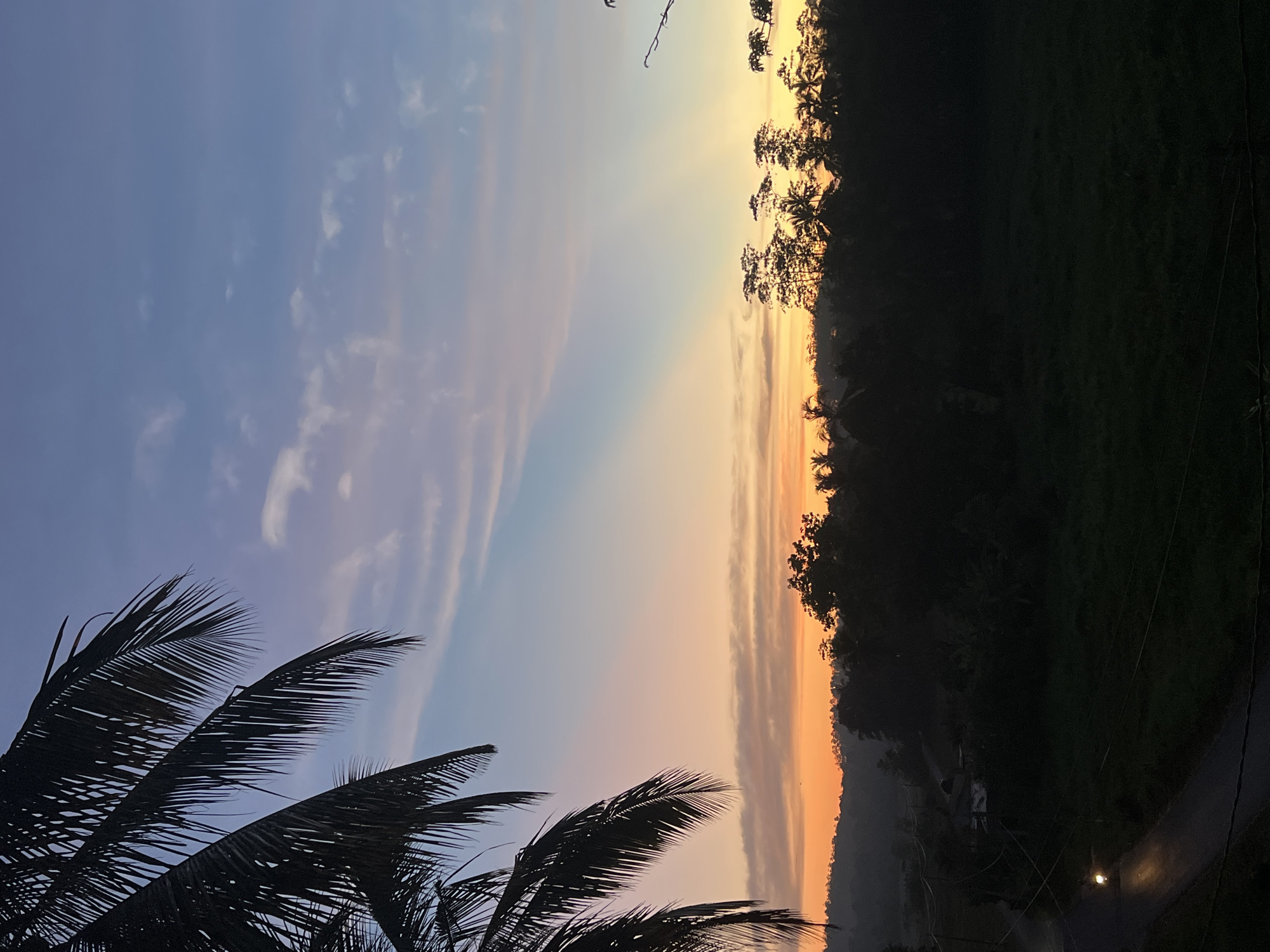 The image shows a landscape at Heenatigala Junction, Sri Lanka, featuring a sunrise. The sky transitions from blue with scattered clouds to orange and yellow hues near the horizon. Silhouetted palm tree fronds occupy the lower left corner. A dark, dense forest line defines the right edge of the image. A road is visible in the lower right, lit by a single street light.