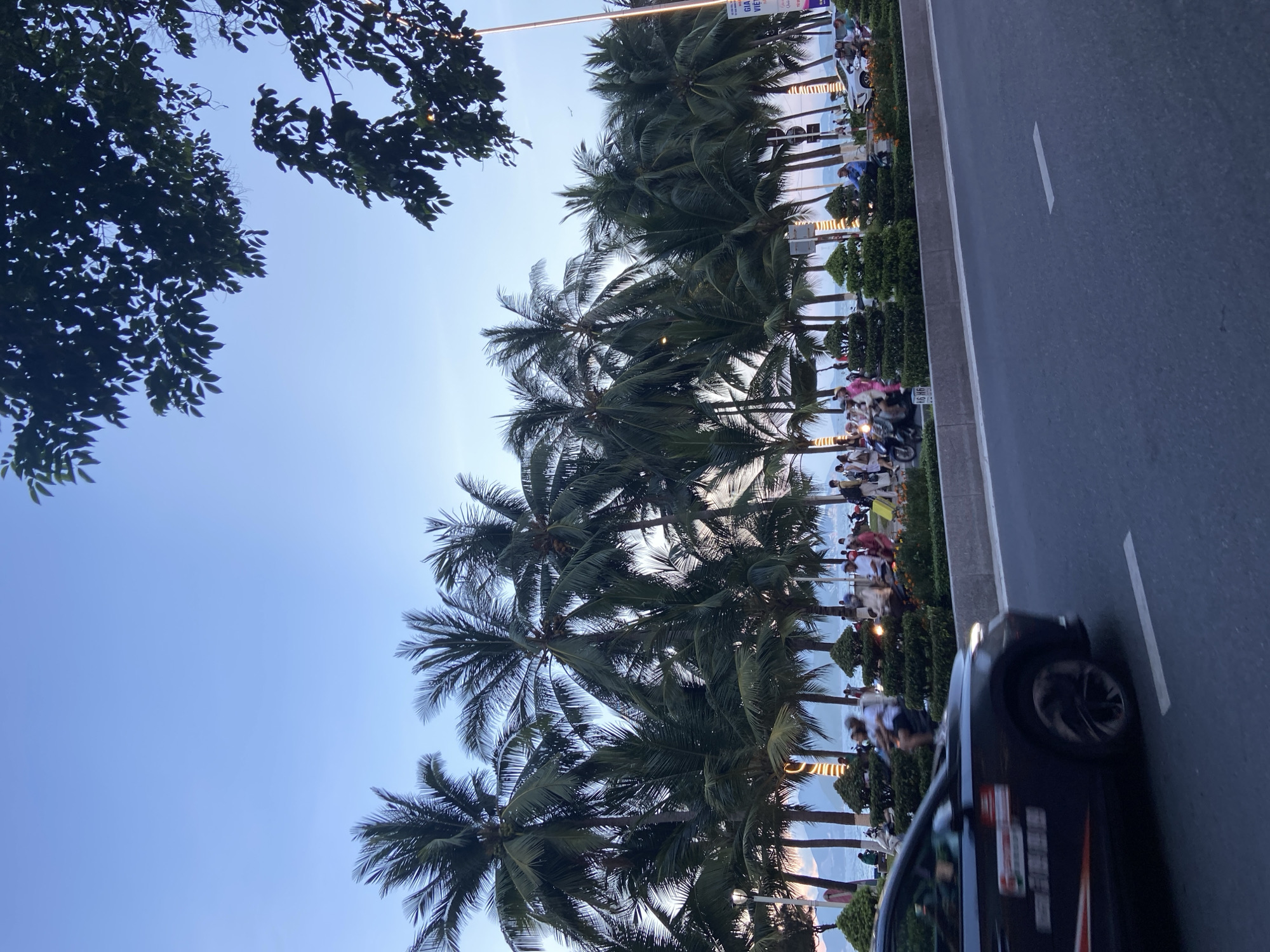 The image depicts a coastal road in Nha Trang Ward, Vietnam, with a backdrop of numerous palm trees lining the promenade. The scene captures a moment in the late afternoon or early evening, as indicated by the soft lighting and clear sky.
In the foreground, a dark-colored car is seen in motion, with its left side visible. The car has some decals on its side, one of which includes red and white lettering. The road itself is asphalt with visible lane markings.
Beyond the car, a pedestrian walkway or park area is populated with people. Several individuals are walking, while others are seated or gathered in small groups. A prominent feature of this area is a line of meticulously pruned topiaries, creating a geometric hedge. In the background, a significant number of palm trees dominate the landscape, reaching towards the sky. Their fronds are lush and green.
The distant background reveals a body of water, likely the ocean, with the silhouette of mountains or hills on the horizon. The sky above is a clear, pale blue, transitioning towards a lighter hue near the horizon, suggesting the twilight hour. Streetlights with decorative bulb arrays are visible along the promenade, adding to the ambiance. A few motorbikes are also present among the pedestrians, indicating common local transportation. A billboard with Vietnamese text is partially visible on the right side of the image. The overall impression is a lively, yet tranquil, seaside urban environment.