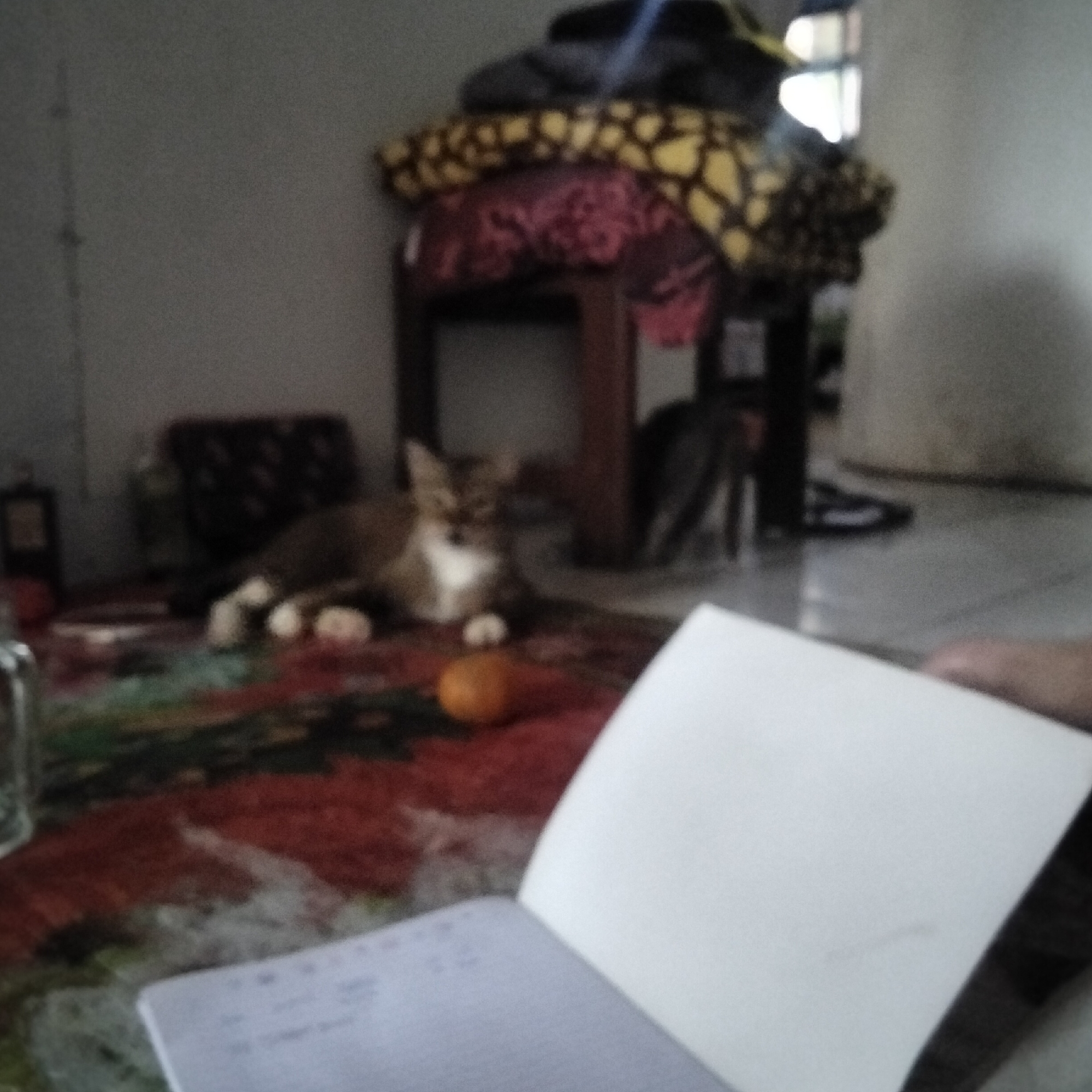 The image captures an indoor scene, likely a room, with a cat as the central subject. The cat, a tabby with white markings on its chest and paws, is lying down on a patterned rug. In the foreground, a white notebook lies open, partially obscuring the lower right portion of the image. To the left of the cat, a small, round, orange object, possibly a fruit, is visible on the rug. Behind the cat, a multi-layered stack of fabrics rests on a dark wooden structure, possibly a table or shelf, with a distinct yellow and brown spotted pattern on the top layer and a reddish pattern beneath. The background is dimly lit, with hints of furniture and possibly a window or doorway with light emanating from it. The overall impression is that of a casual, domestic setting. No specific landmarks or details to indicate the location in Cisaat, Indonesia, are present in the image.
