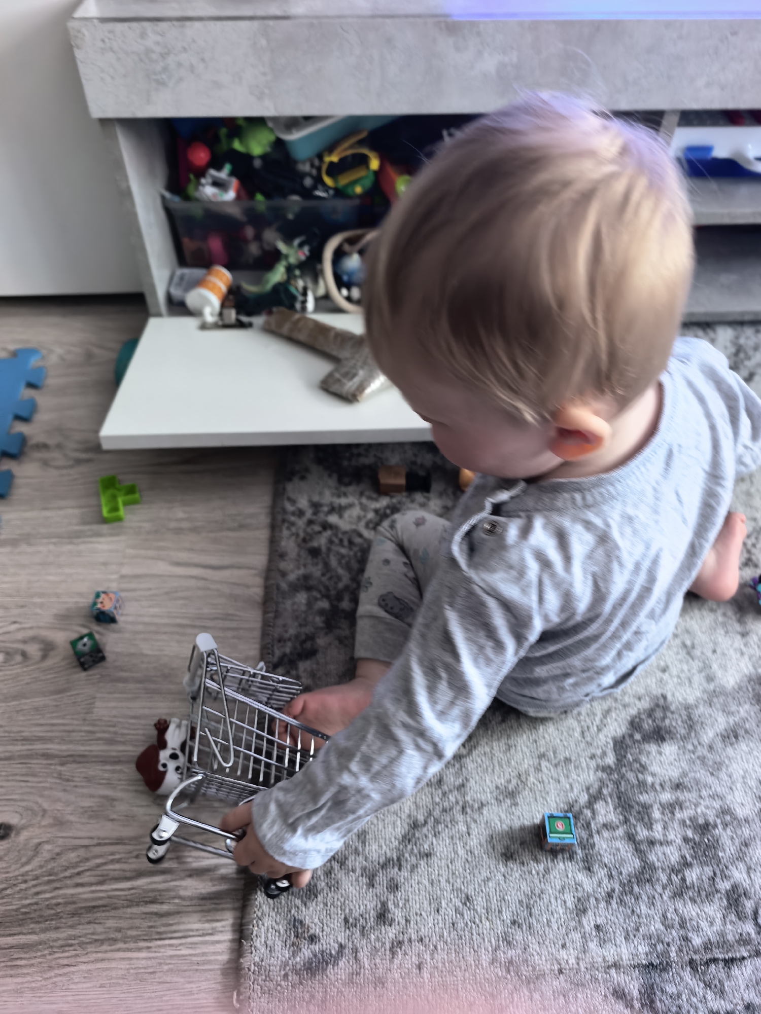 A toddler with blonde hair is sitting on a gray and white patterned rug. The child is wearing a light gray long-sleeved shirt and patterned gray pants. They are holding a miniature silver shopping cart with a small toy dog inside. The setting appears to be an indoor play area with a cabinet or shelving unit behind the child, containing various toys. Puzzle pieces and toy blocks are scattered around on the floor, which transitions from a rug to a wood-like surface.
I am unable to verify the location in the city of Sterlitamak, Russia, as the image does not provide sufficient information for that determination.