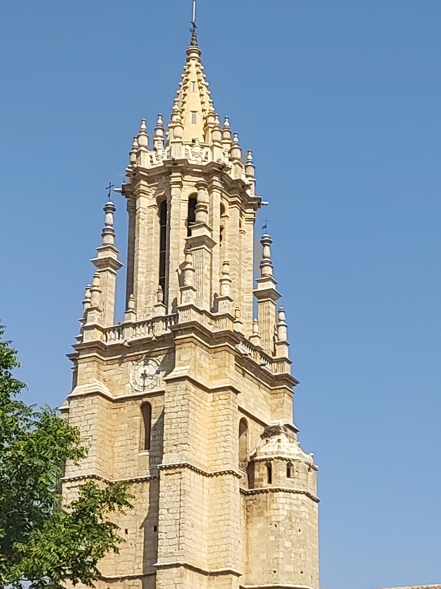 The image shows a close-up of the tower of the Church of San Miguel in Ampudia, Spain. The tower is constructed of light-colored stone and features intricate architectural details, including spires, decorative carvings, and a clock face. The sky is a clear, bright blue, indicating a sunny day. A portion of a green tree is visible in the lower left corner of the frame, partially obscuring the base of the tower. The church tower is the primary subject, captured from a low angle looking upwards.
