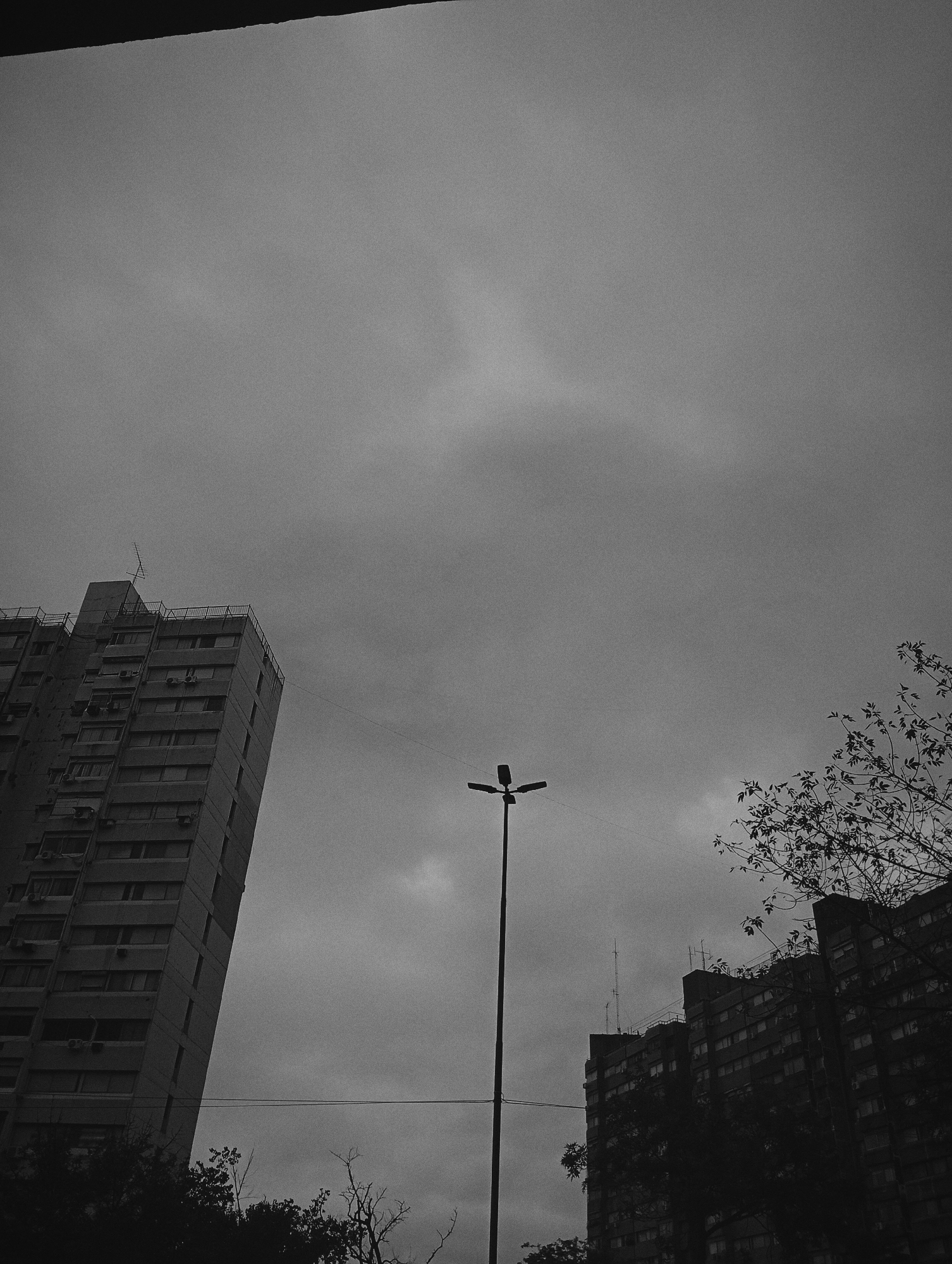 The image is a monochrome, low-angle view of a cityscape under an overcast sky. Dominating the left side is a tall, rectilinear apartment building with rows of windows and air conditioning units. On the right, a similar but darker building complex is partially obscured by tree branches. A street lamp stands tall and centered in the foreground. The location is likely Buenos Aires, Argentina, due to the architectural style of the buildings and the prevalent overcast skies often associated with the region. No people or actions are visible, and the environment conveys a sense of urban density under a gray, possibly rainy sky.