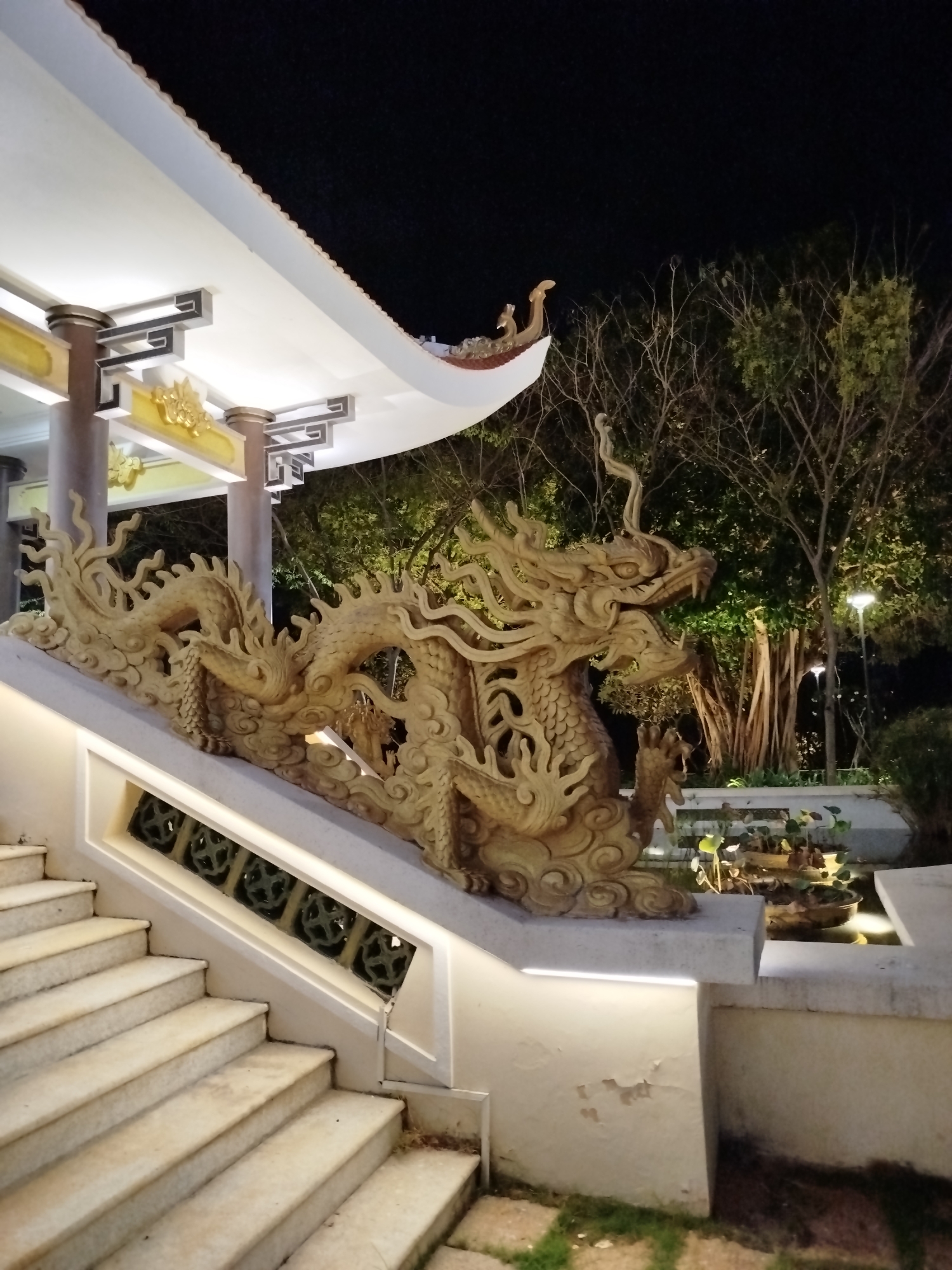 Here's a detailed description of the image:
**Location:** Ho Chi Minh City, Vietnam.
**Scene:** The image depicts a ornate architectural feature at night. A golden dragon sculpture is prominently displayed along the side of a white staircase. The staircase leads up to a covered structure with a curved roof, decorated with traditional architectural elements and golden accents. The structure is illuminated from below.
**Objects:**
* Golden dragon sculpture
* White staircase
* Curved roof structure
* Traditional architectural details
* Potted plants and water feature (right side of the image)
* Trees in the background
* Street light in the background.
**Environment:** It is nighttime. The scene is well-lit by artificial light sources, highlighting the dragon sculpture and the surrounding architecture. The background is dark, with trees silhouetted against the night sky.