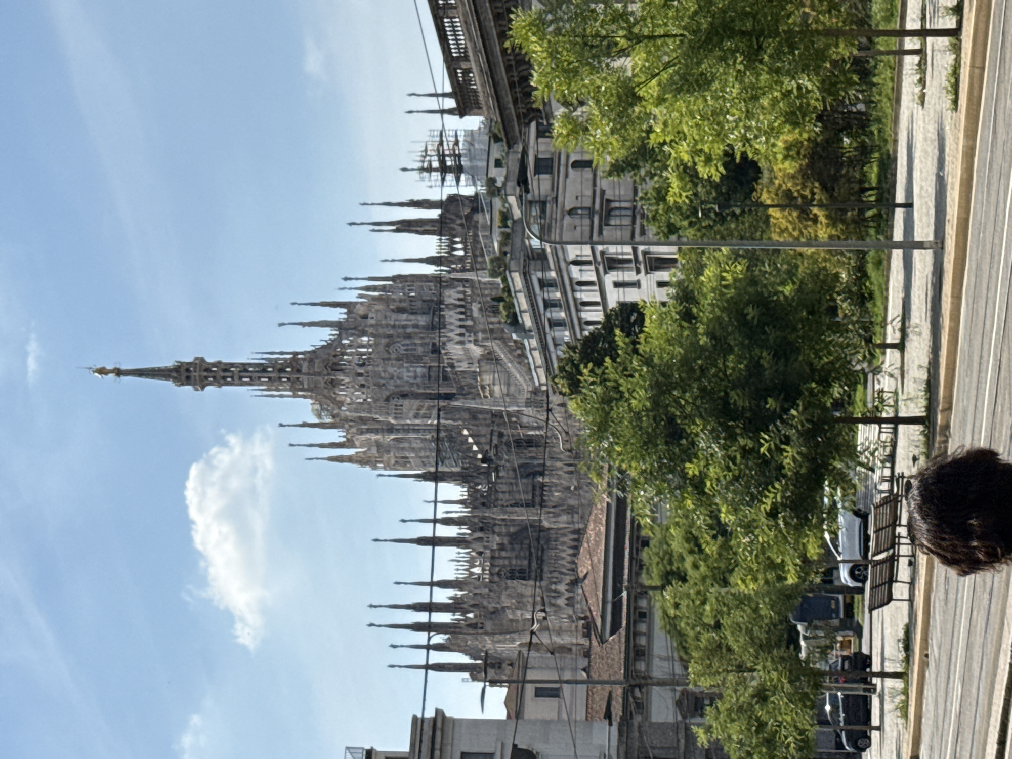The image captures a daytime urban scene in Milan, Italy, dominated by the Milan Cathedral (Duomo di Milano) in the background. The sky is light blue with scattered white clouds, indicating clear weather.
The Milan Cathedral, a massive Gothic structure constructed from grey stone, occupies the upper half of the background. Its intricate architecture is characterized by numerous pointed spires and detailed ornamentation, with a taller central spire crowned by a golden statue (the Madonnina).
In the mid-ground, several multi-story buildings with light-colored facades (white, cream, or light grey) are visible. Some of these buildings feature windows and flat rooftops, with one displaying green foliage on its terrace. To the right of the cathedral, a building appears to have scaffolding erected on its upper levels. Overhead electrical lines, likely for public transportation, traverse horizontally across the mid-ground, partially obscuring the view of the cathedral and adjacent buildings.
The foreground is characterized by a park-like area and a street. Numerous deciduous trees with vibrant green foliage are distributed across the mid-ground and foreground, partially obscuring the lower portions of the buildings and the cathedral. A paved area with several empty park benches is visible beneath the trees. Further back, two cars—one black and one white—are present on a street. At the very bottom center of the frame, the top of a person's head, with dark, curly hair, is visible, facing away from the camera. Horizontal lines on the pavement in the immediate foreground suggest tram tracks. Streetlights are also discernible within the tree-lined areas. The scene is brightly lit by natural sunlight, suggesting a clear day.