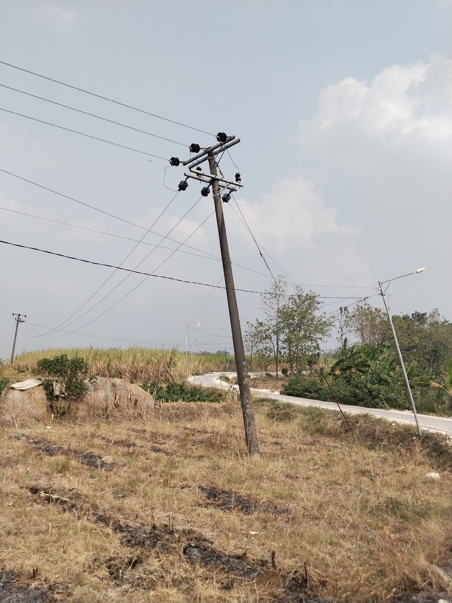 The image depicts a rural landscape under a cloudy sky. A tall, dark utility pole stands prominently in the foreground, supporting multiple power lines that stretch across the frame. To the right of the main utility pole, a street light is visible. The ground is covered in dry, yellowed grass, with patches of dark soil suggesting recent burning. In the middle ground, a field of tall, golden grass or crops is visible, with some green foliage and trees interspersed. A winding road or path can be seen in the distance. Hay bales are stacked to the left of the main utility pole. The scene appears to be located in a rural area.