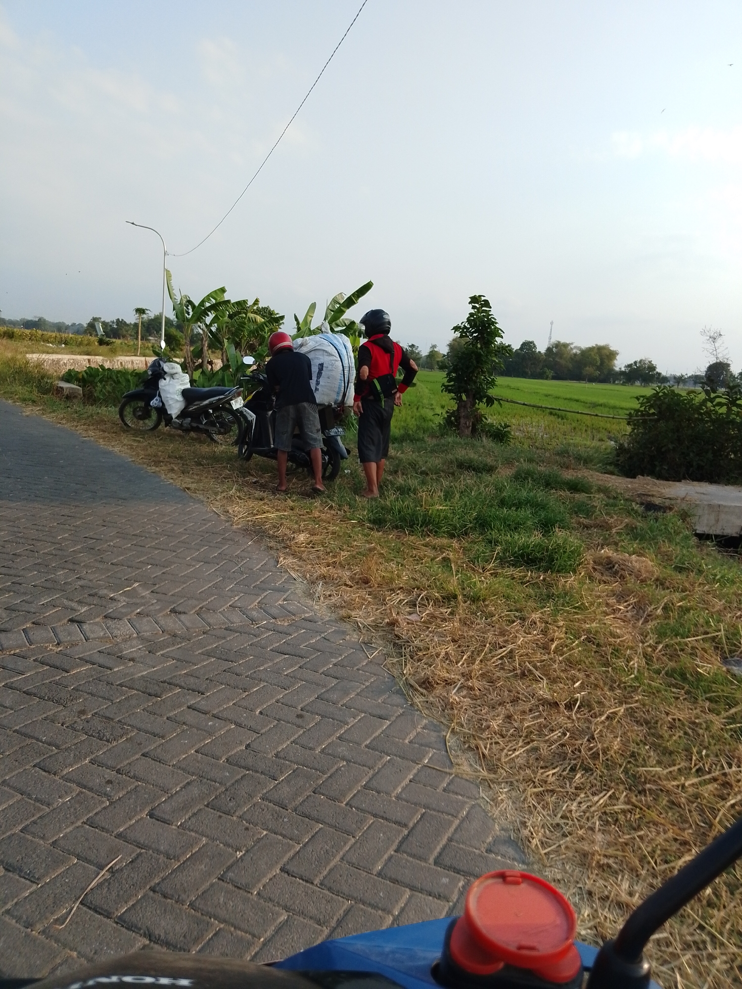 Two individuals are standing next to two motorcycles on the side of a paved road in Karang Pandan, Indonesia. The motorcycle on the left has a white body and is loaded with white sacks. The motorcycle on the right is black and also has white sacks loaded onto the back. The individual on the left is wearing a red helmet, a black shirt, and grey shorts. The individual on the right is wearing a black helmet, a red vest over a black shirt, and black shorts. They are positioned near a grassy area with dried grass and some green plants. In the background, there are banana trees, a field of green crops, and some trees. The sky is clear and light blue, suggesting it is daytime. A street light is visible on the left side of the image. The road is paved with dark grey interlocking bricks.
