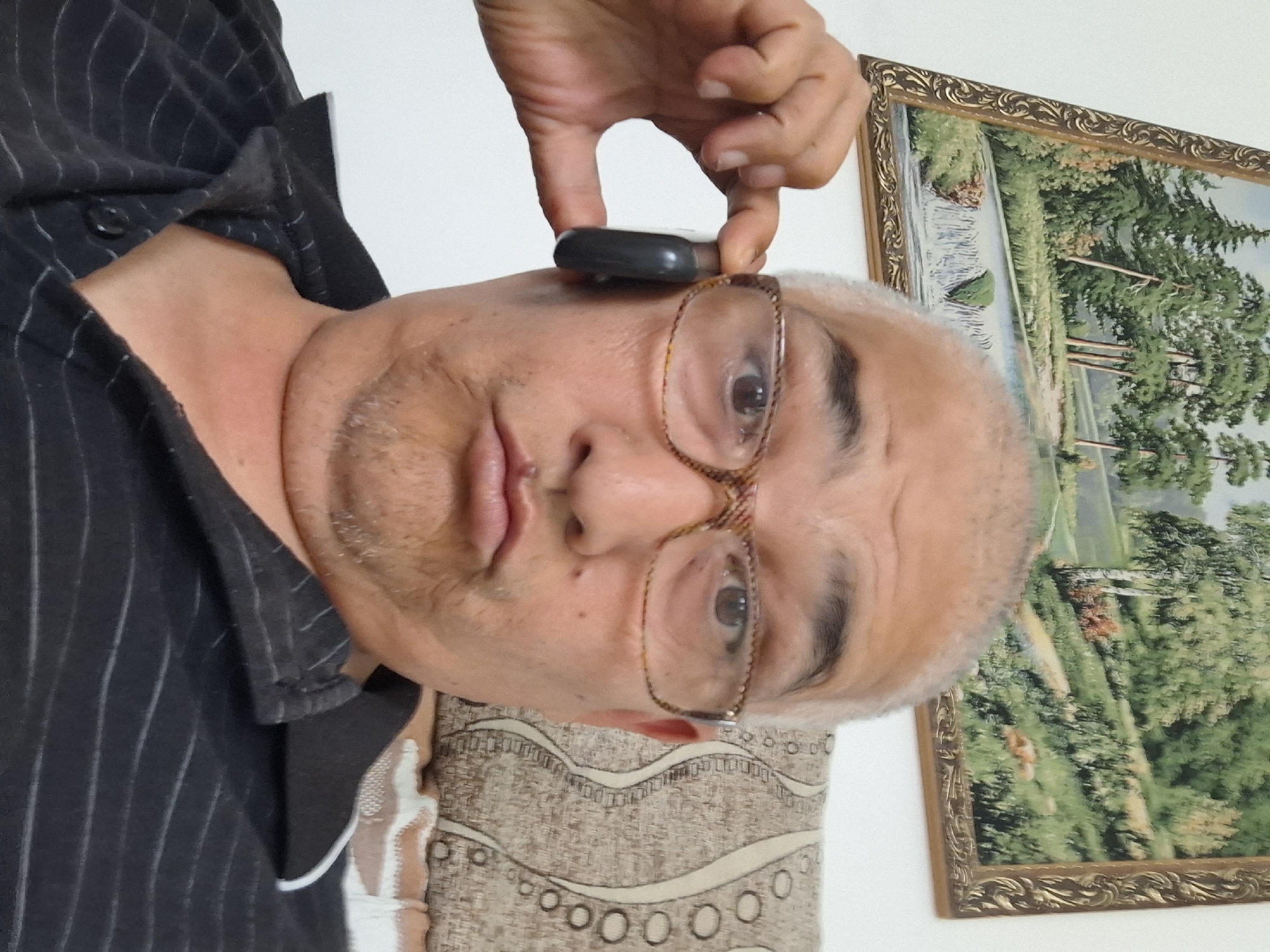 The image is a close-up, high-angle, selfie-style shot of a middle-aged man with fair skin, grey hair, and a light beard. He is wearing glasses with brown frames and a black collared shirt with thin white pinstripes. His facial expression is one of mild amusement or jest, with his lips pursed. He is holding a dark, elongated object to his right ear, possibly a mobile phone or an earbud. The man is positioned in front of a large framed painting of a landscape featuring trees and a waterfall. Behind him to the right, a patterned cushion is visible. The background appears to be an indoor setting, possibly a living room. There are no clear indicators within the image to suggest a specific location within Almaty, Kazakhstan.