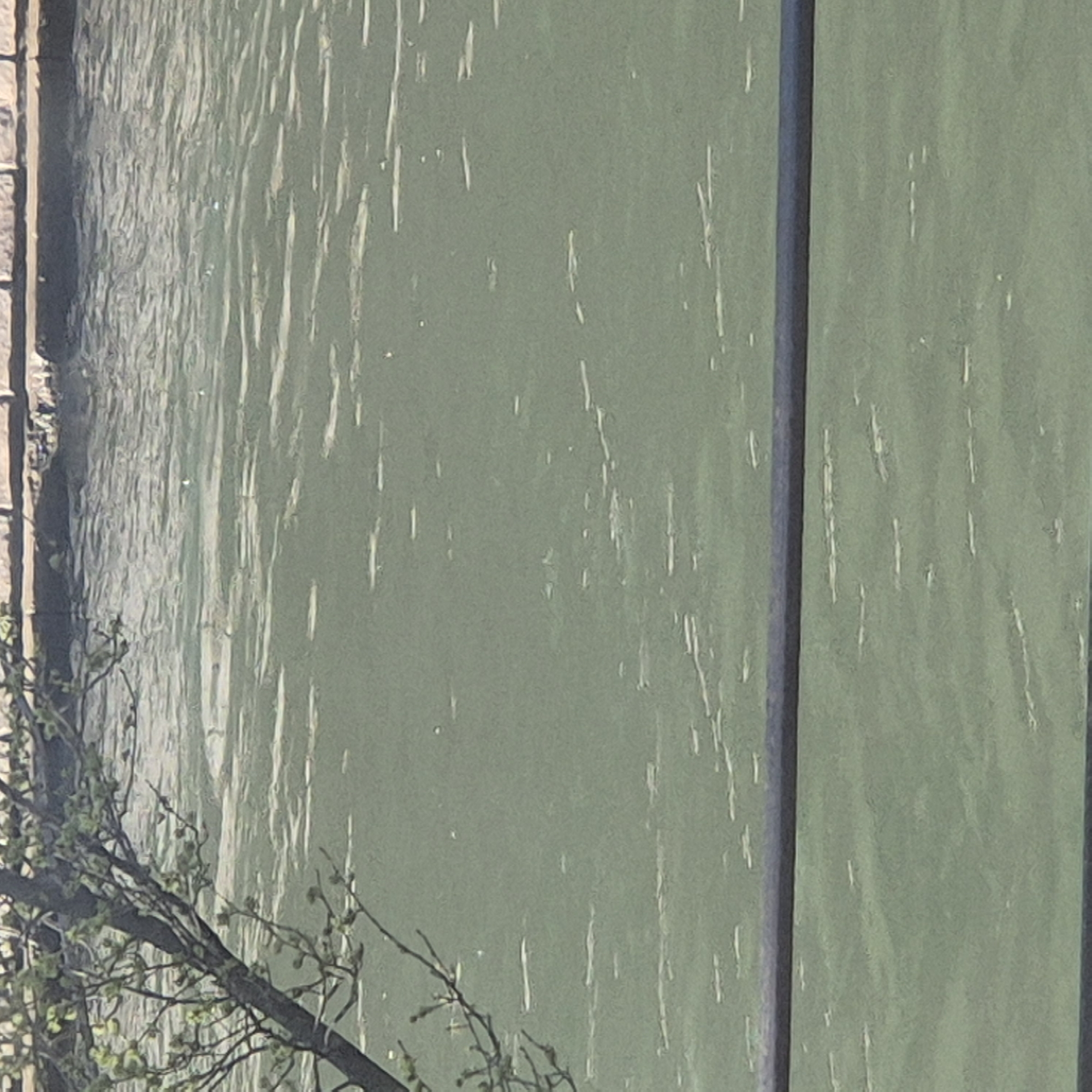 The image depicts the surface of water, possibly a river or canal, with a stone embankment on the left and a tree branch with sparse leaves in the lower left corner. The water is green-grey with linear reflections. To the right of the water, there are vertical wooden planks with a grey vertical beam. Given the presence of canals and European architecture, the scene could plausibly be in Strasbourg, France.