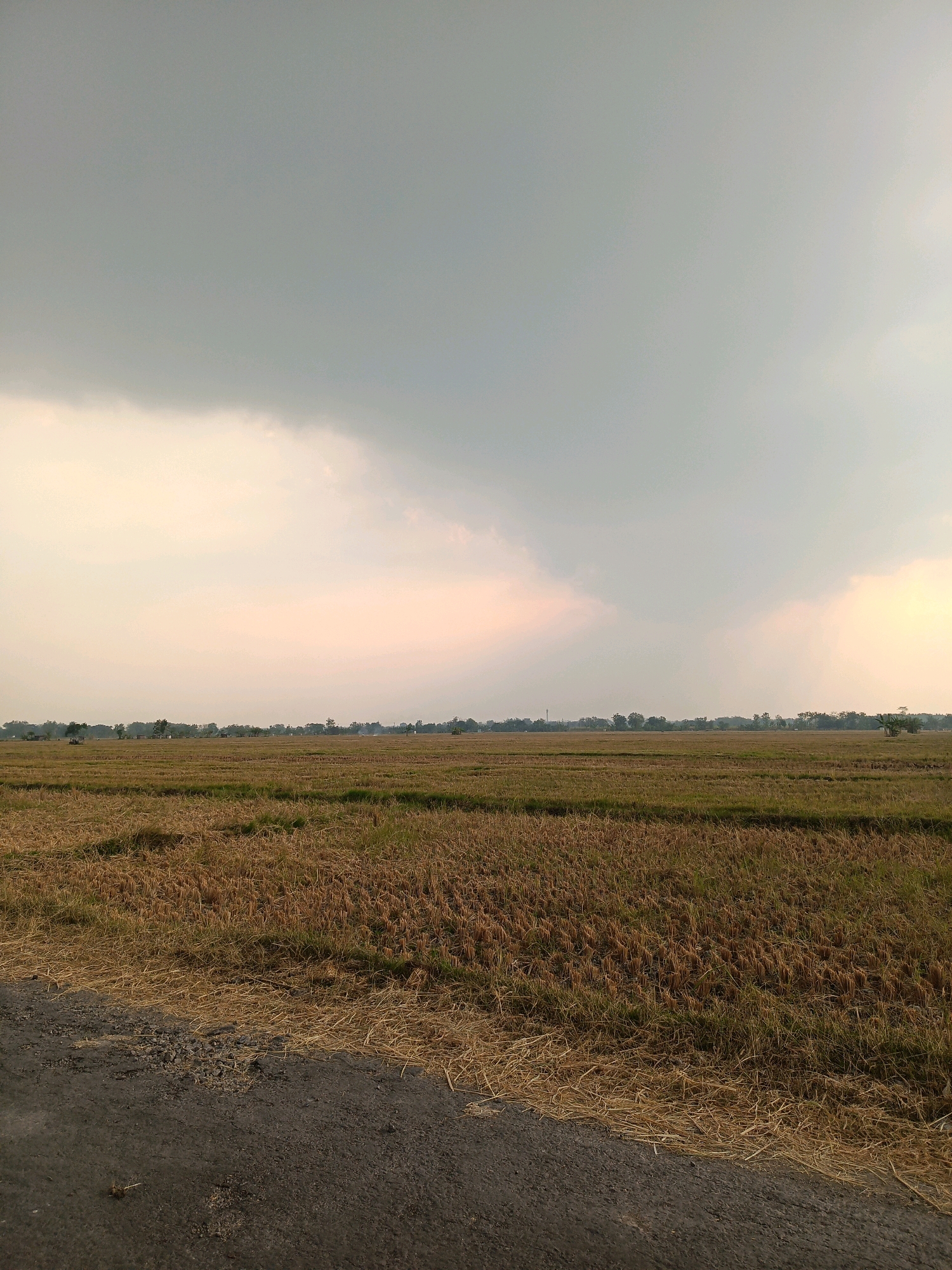 An image depicts a wide, flat landscape in Kincang Wetan, Indonesia, under a cloudy sky. The foreground shows a dirt road on the left, bordering a harvested field of dry rice stalks. The field stretches to the horizon, dotted with scattered trees and a few buildings or structures in the distance. The sky is overcast with diffused light, suggesting either dawn, dusk, or a heavily clouded day. The overall scene is rural and agricultural.